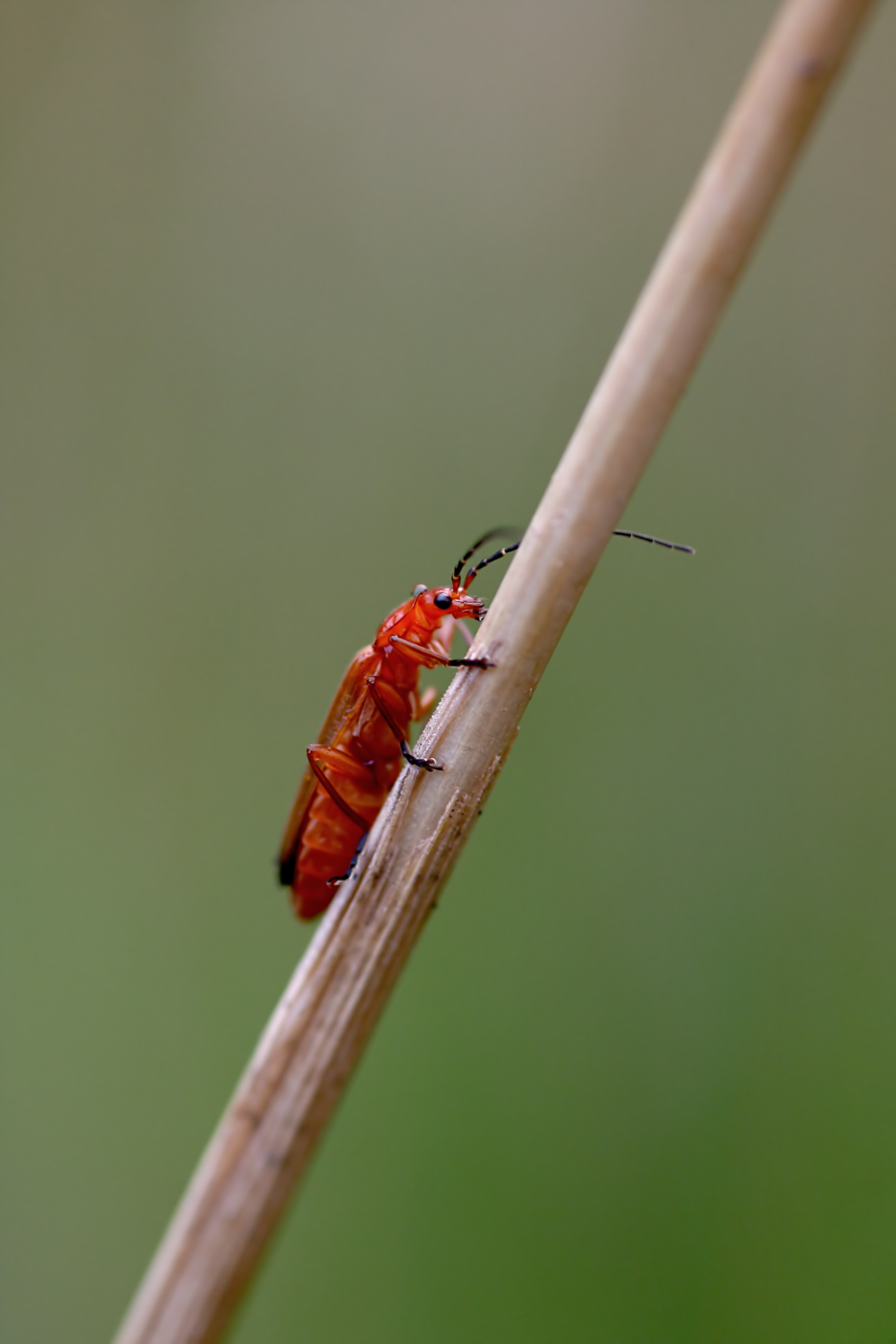 20080716211750.jpg