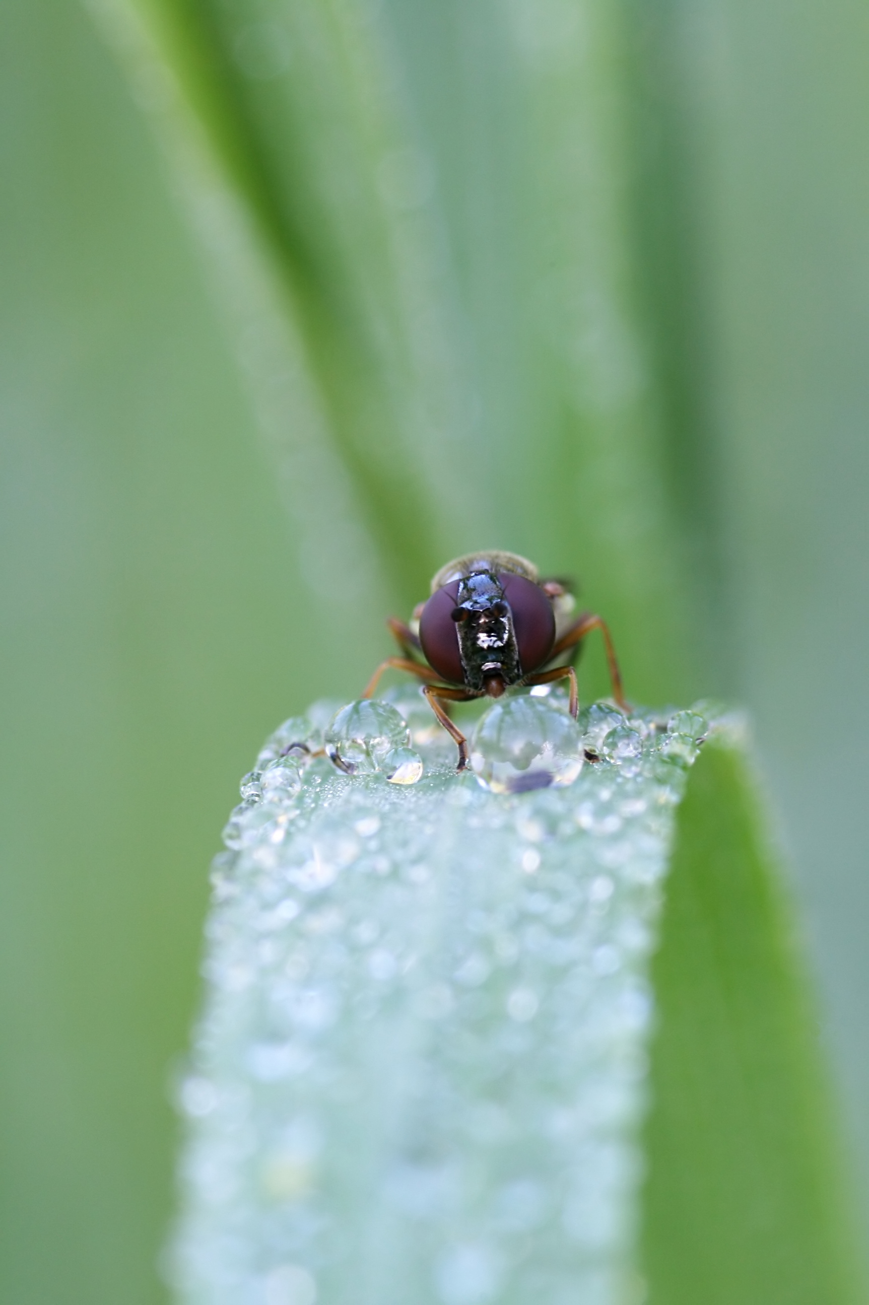 20080717070557.jpg