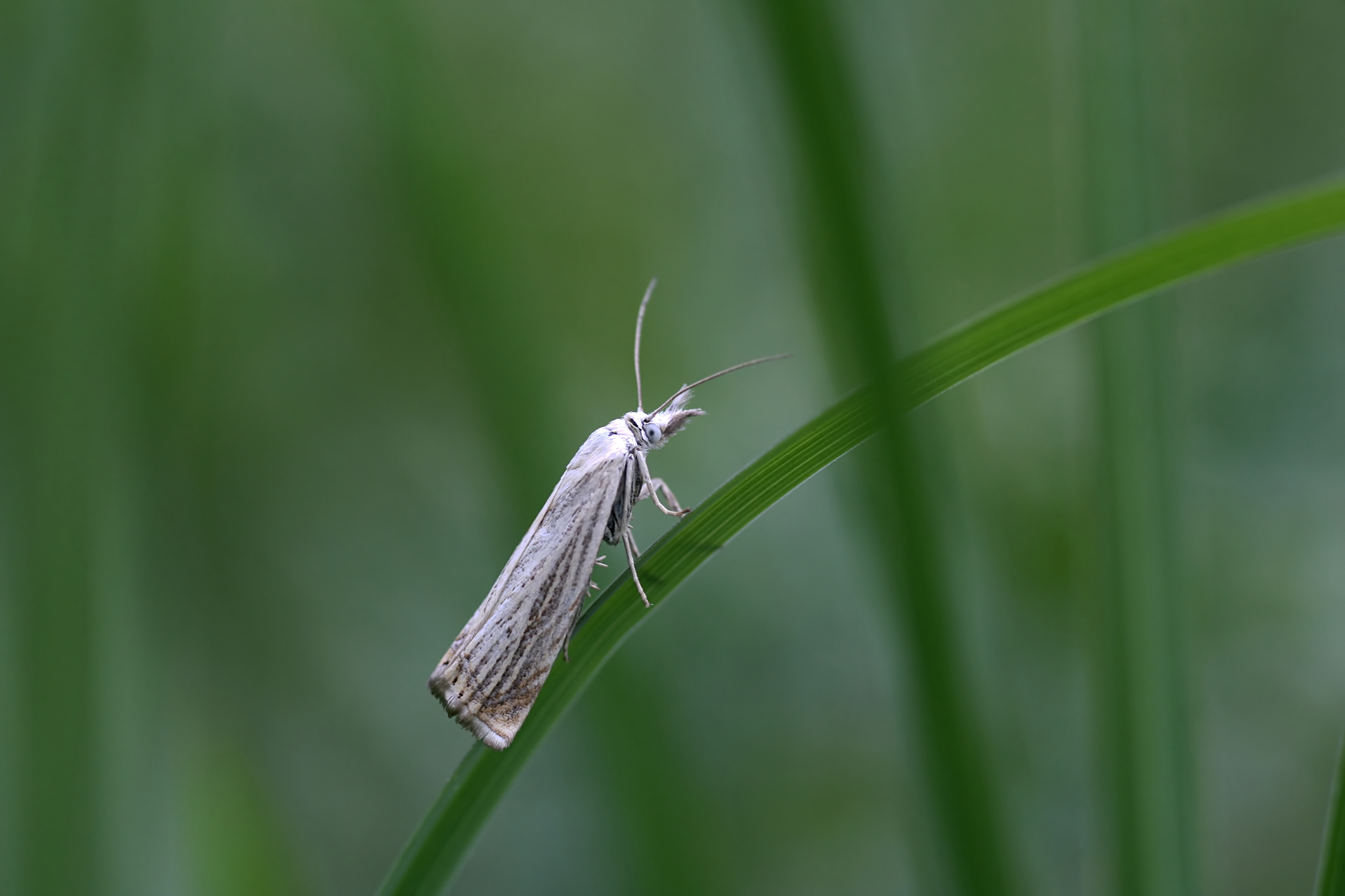20080717165711.jpg