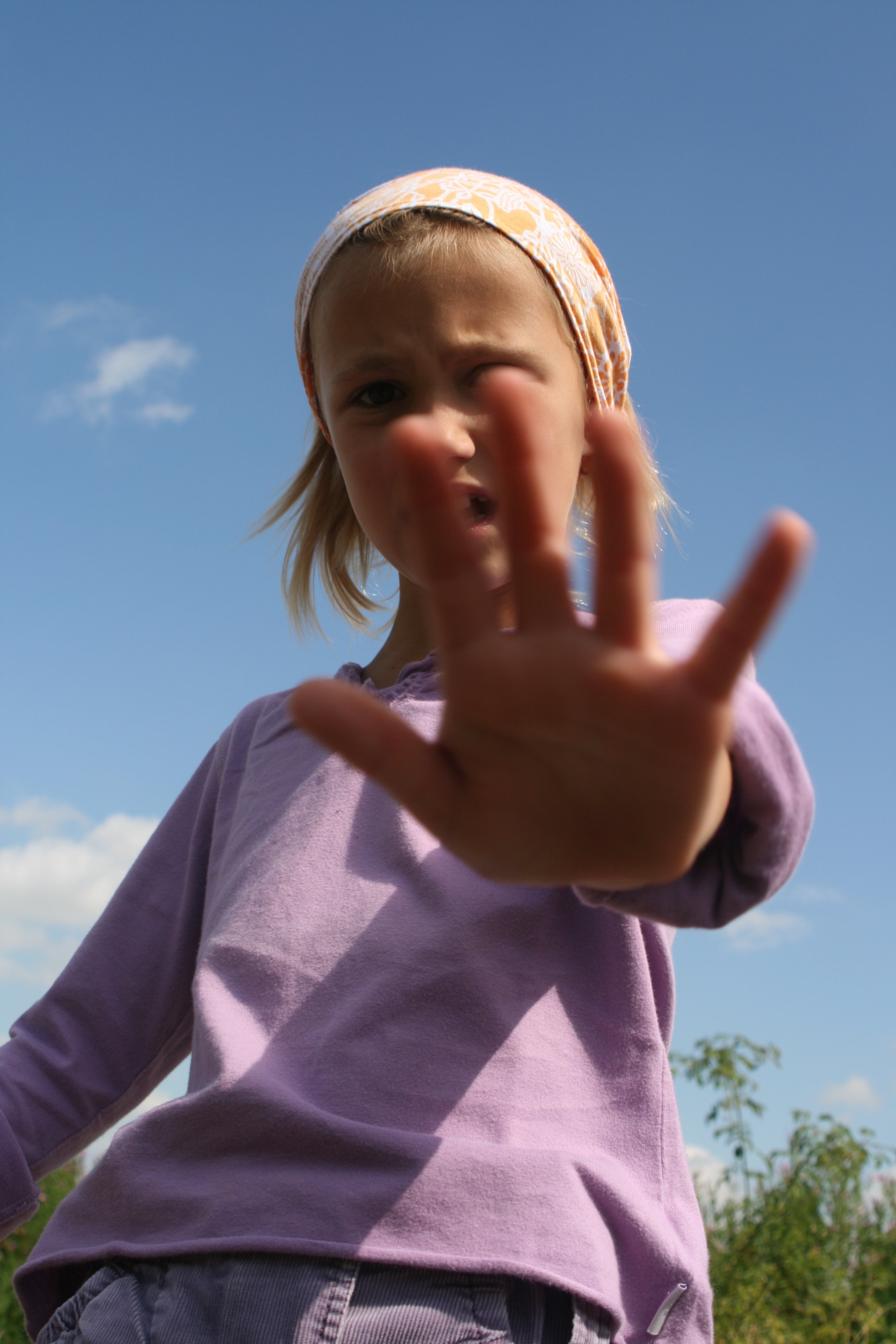 20080719154118.jpg