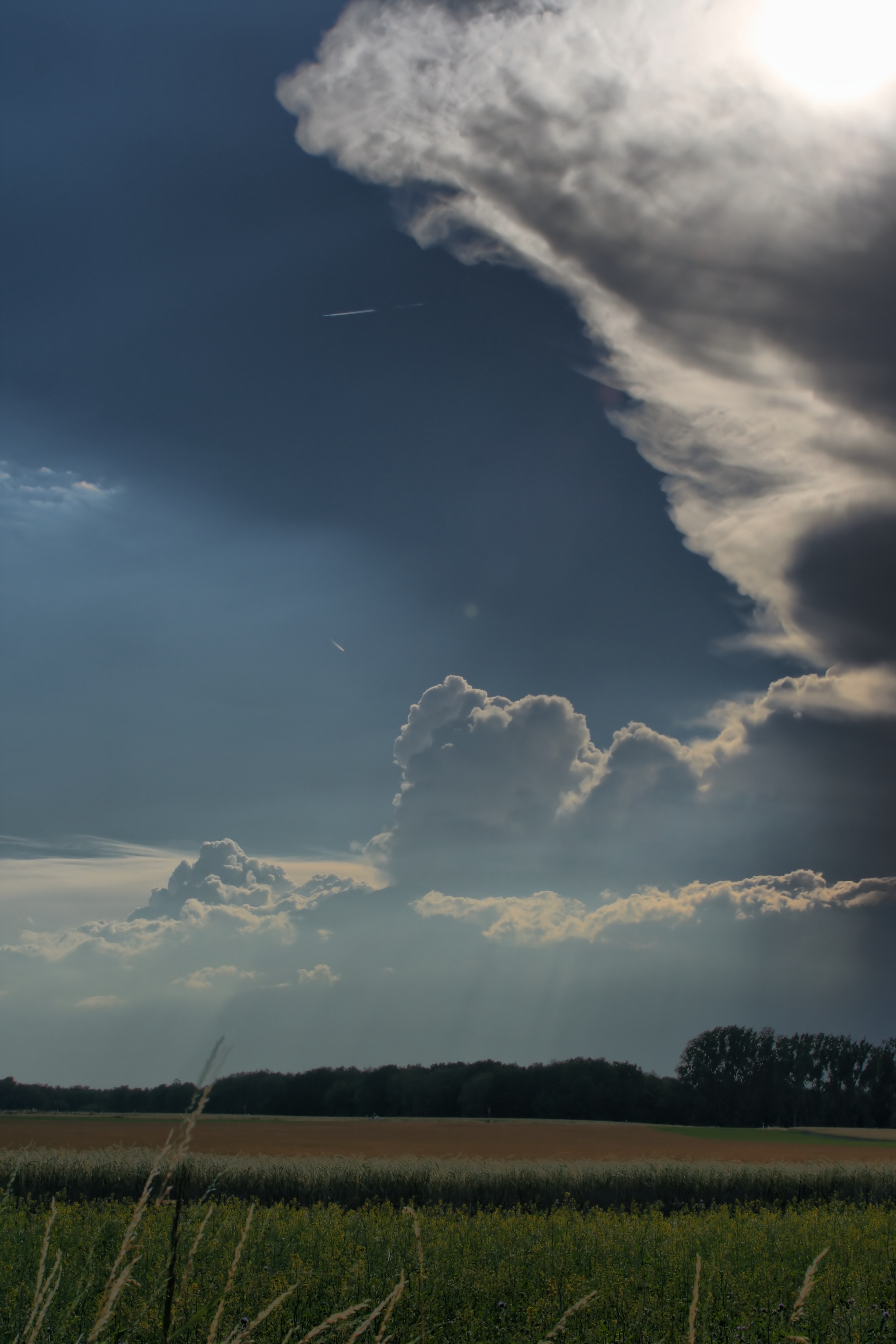 20080720173000-2.jpg