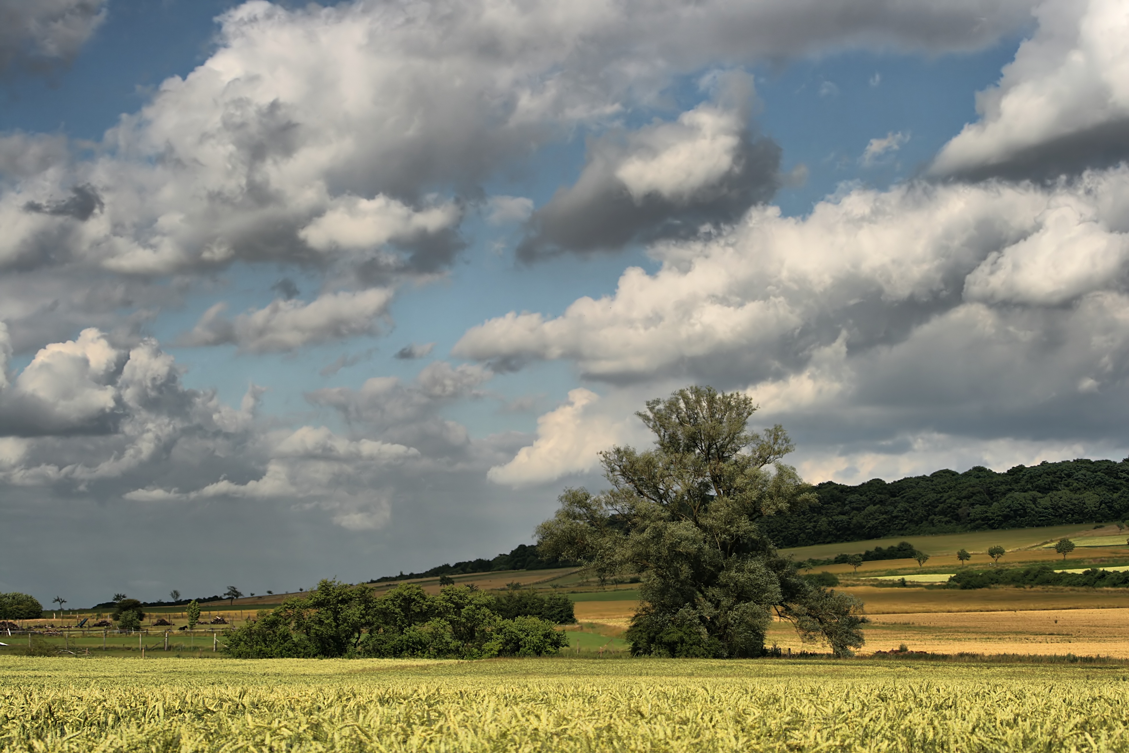 20080720174800-4.jpg