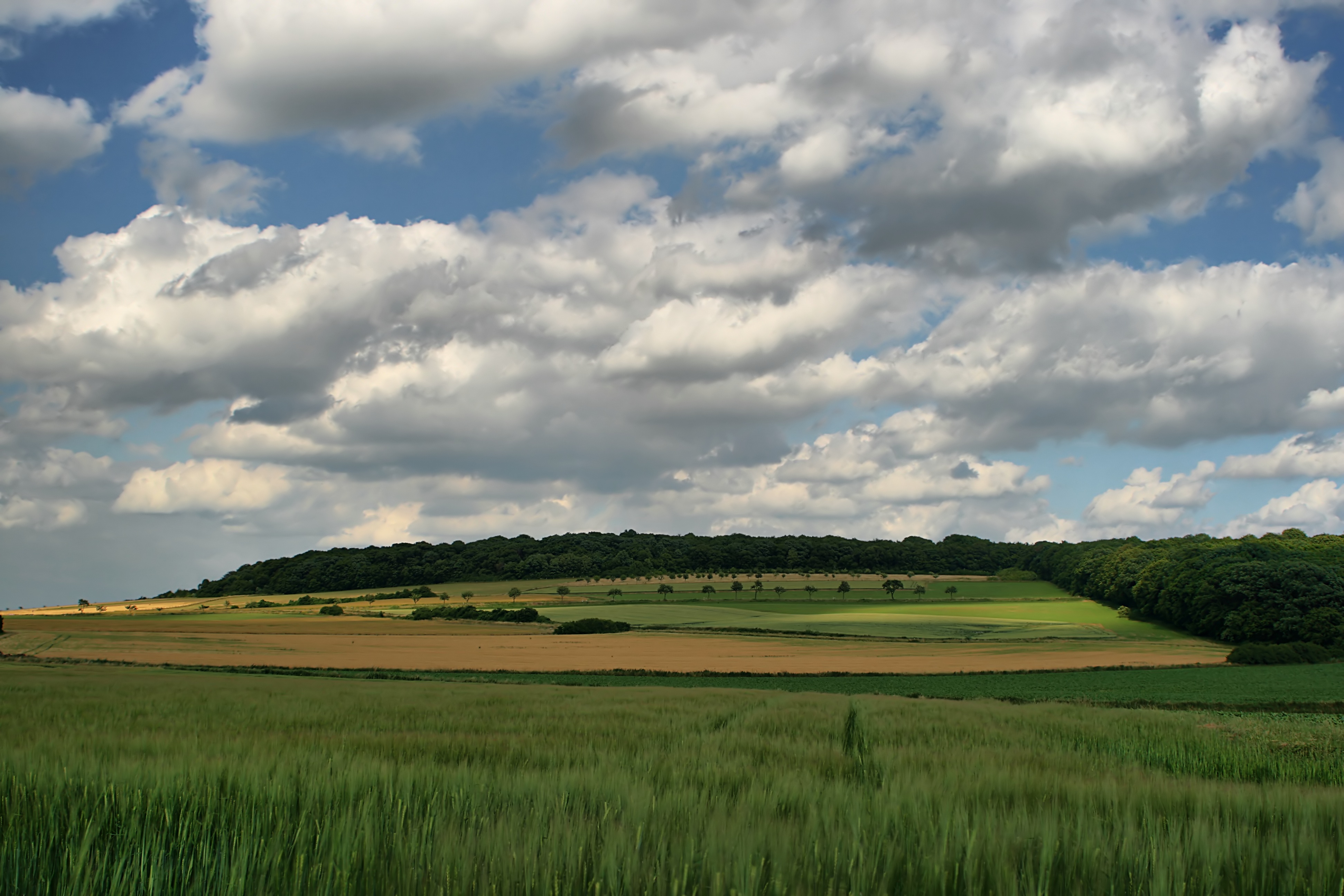 20080720174800-6.jpg