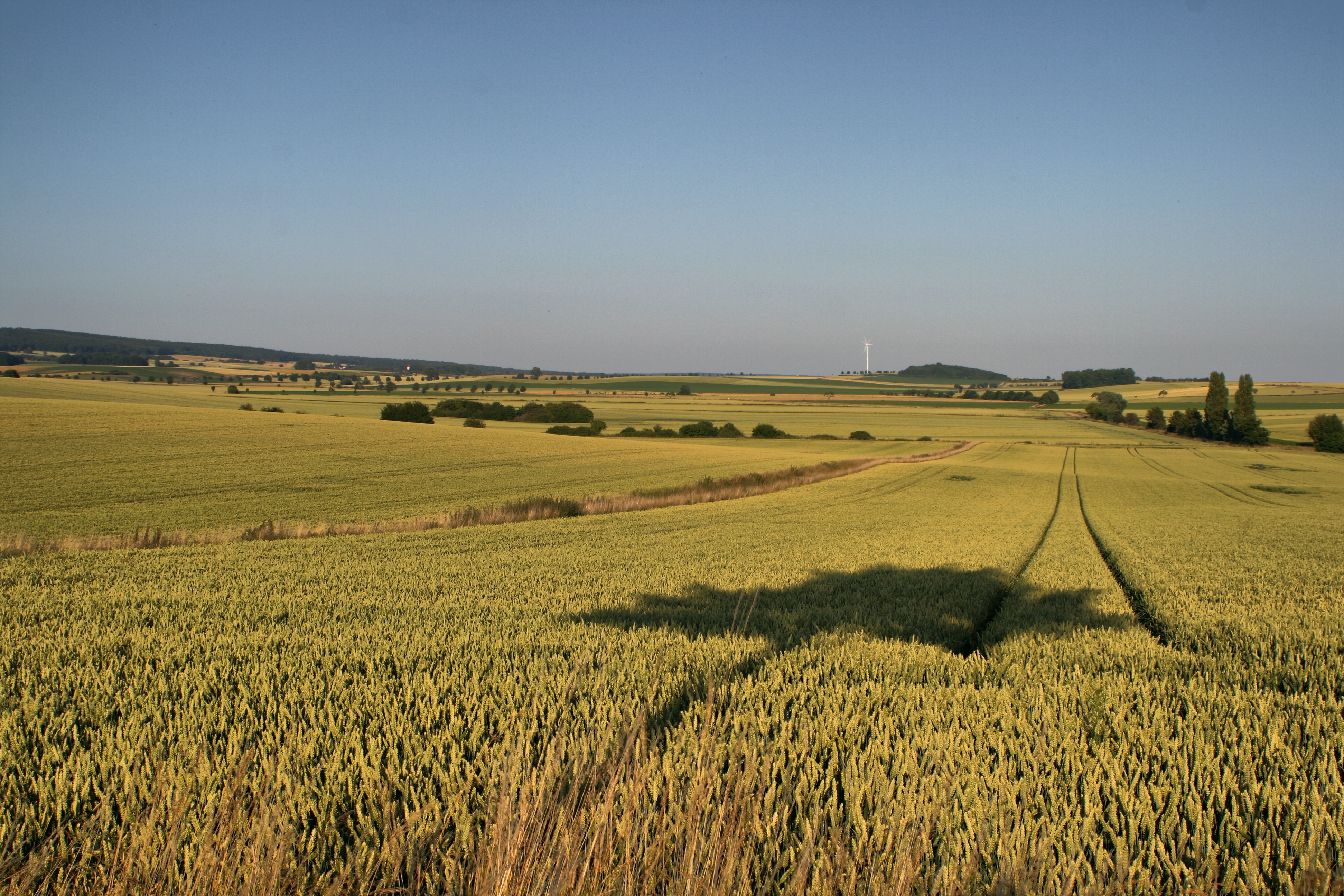 20080720180700-2.jpg