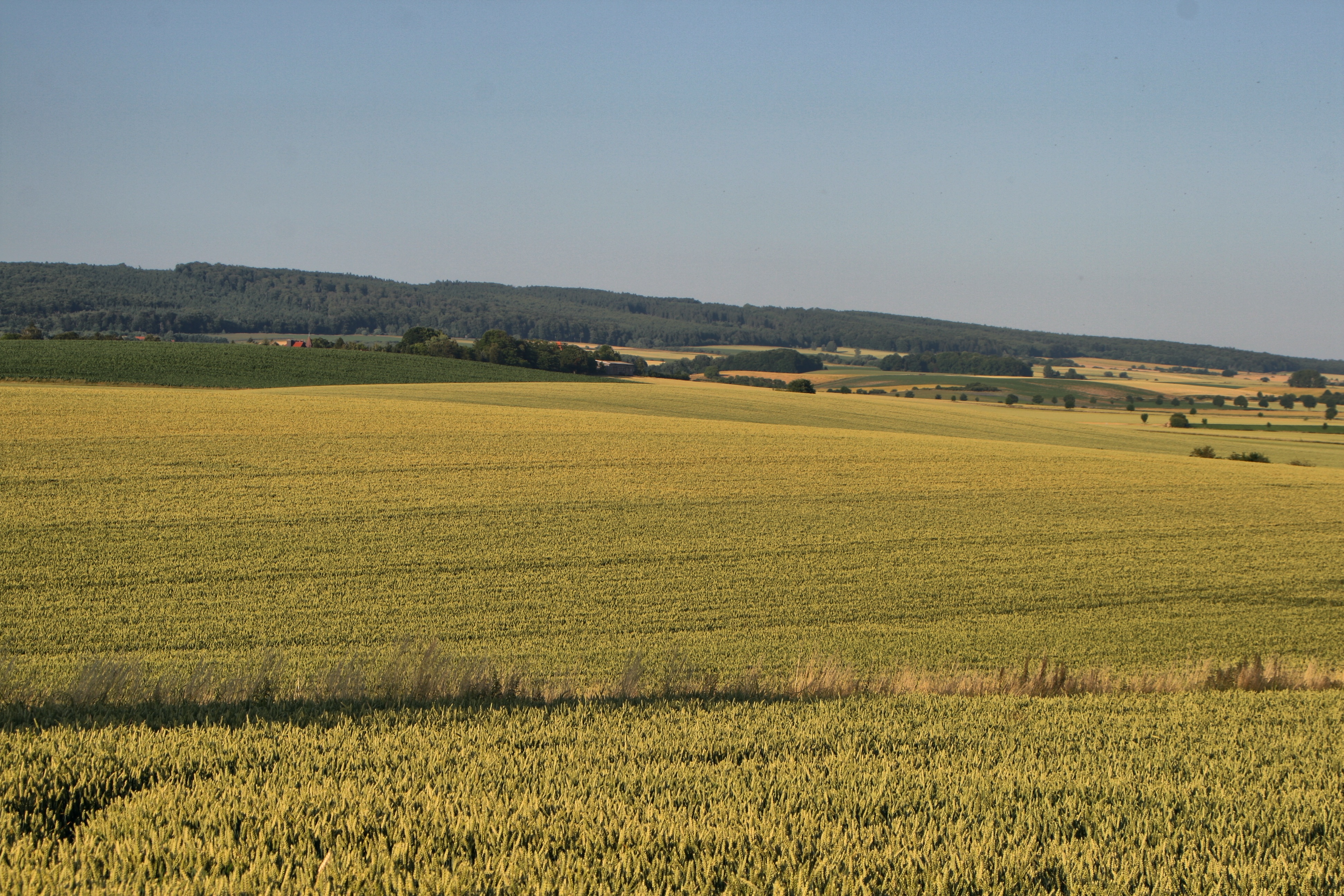 20080720180700-5.jpg