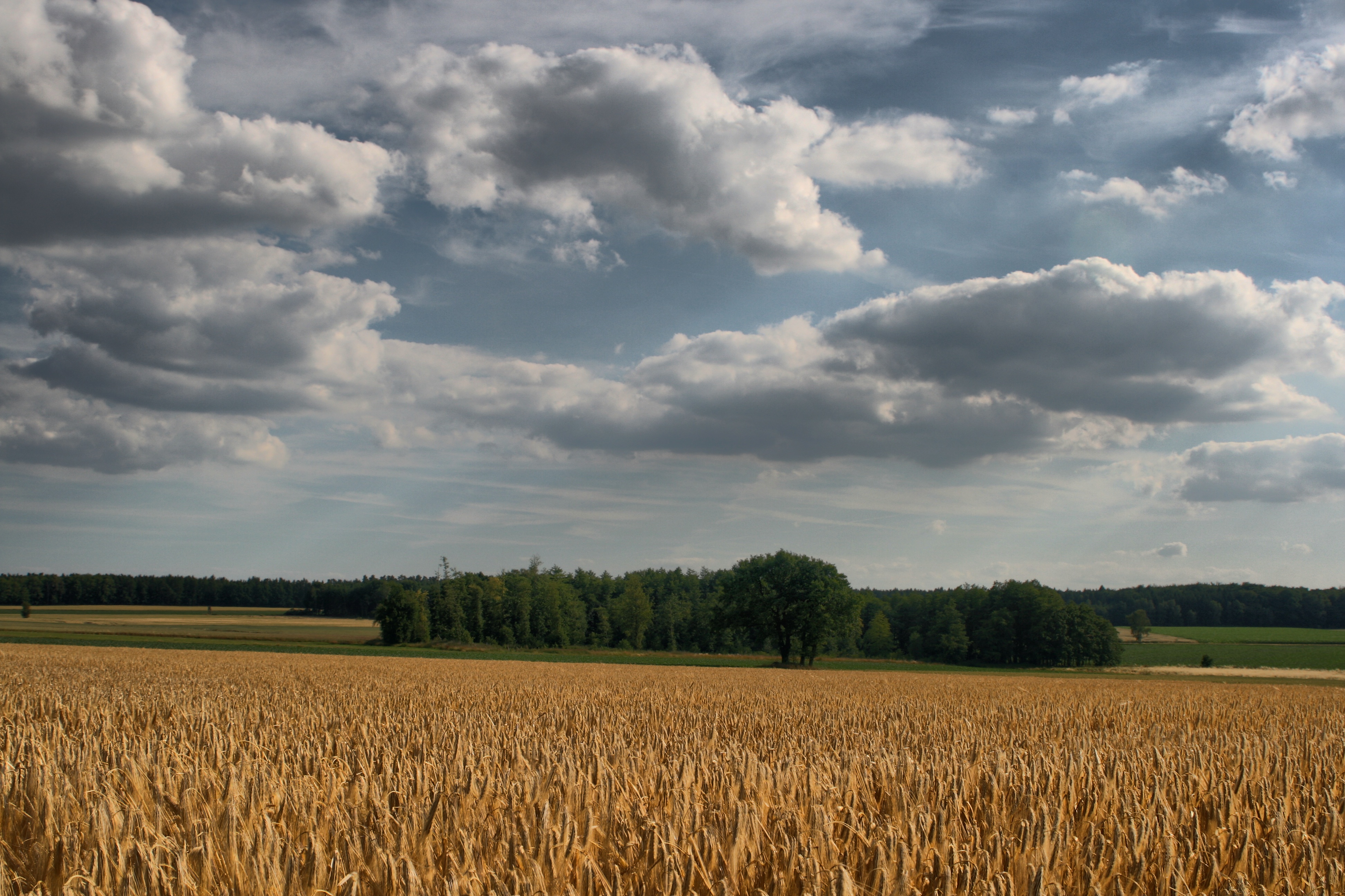 20080720182300-2.jpg