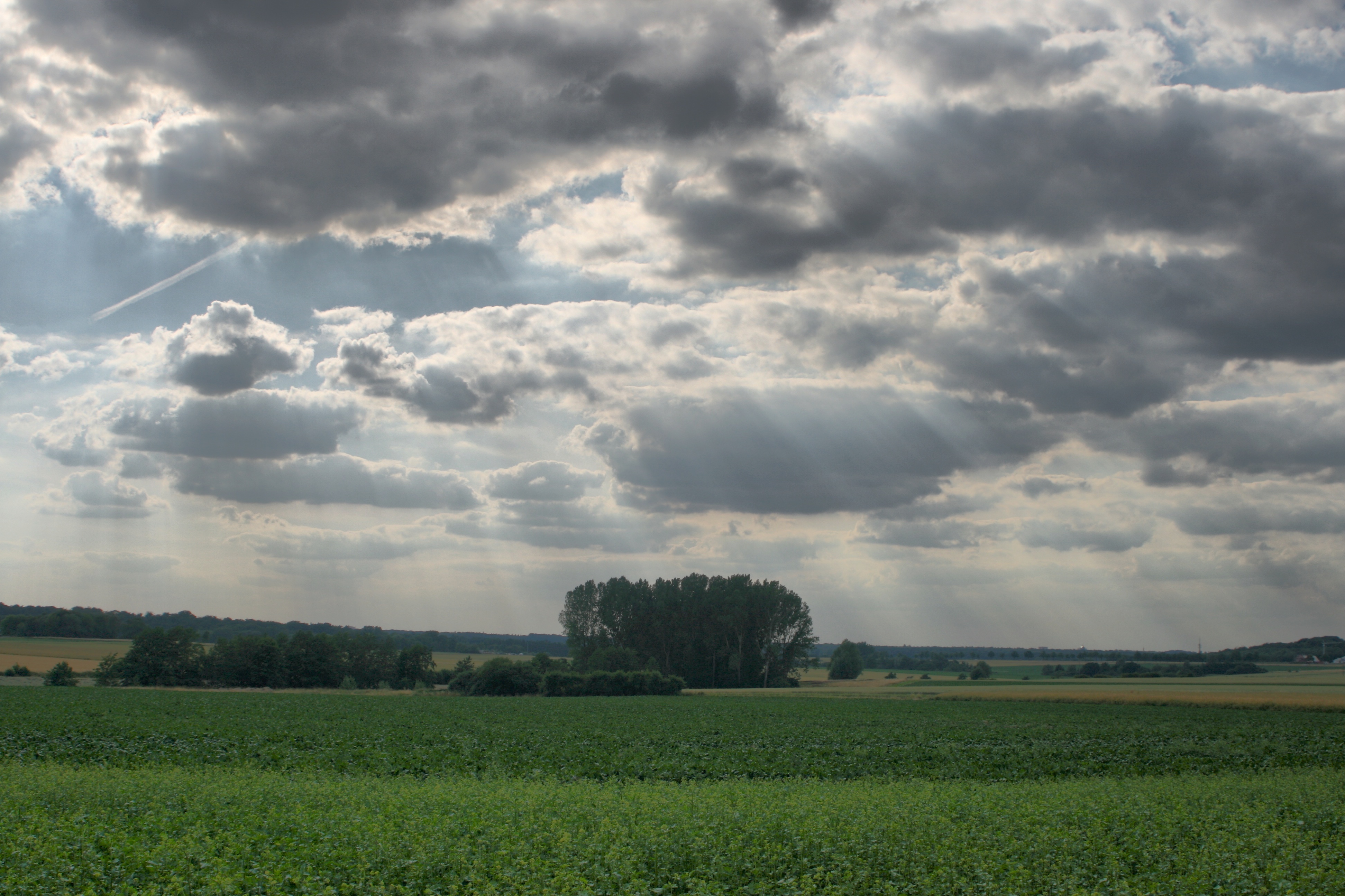 20080720182300-3.jpg