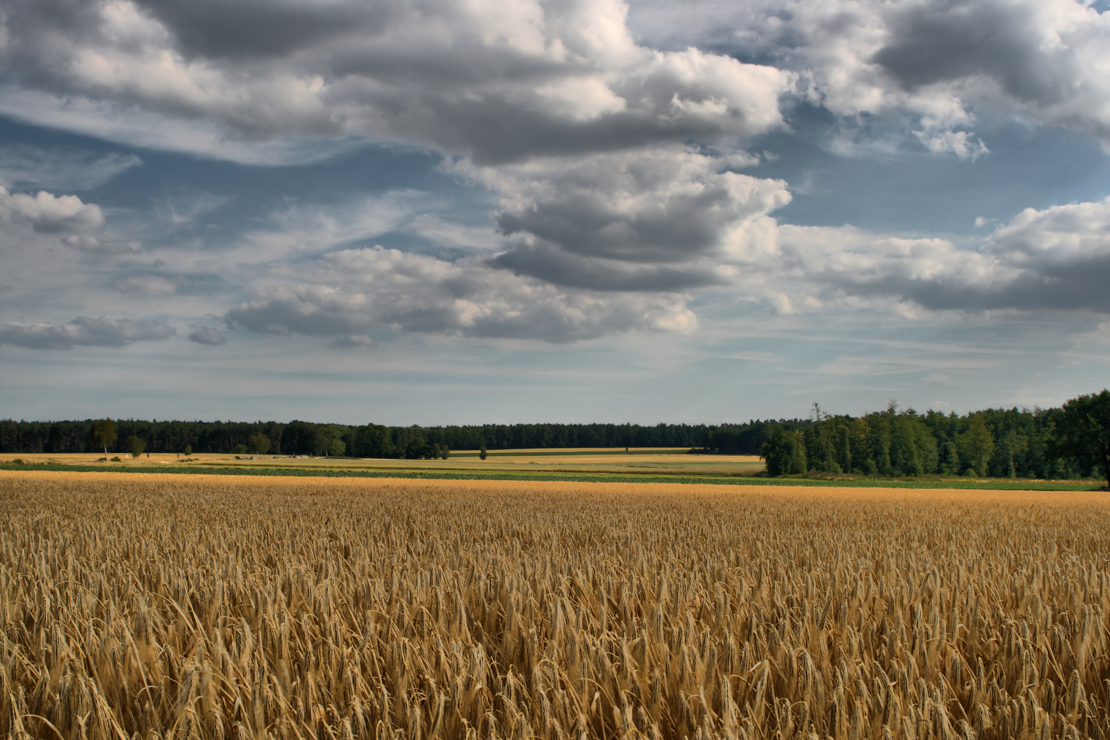 20080720182300-4.jpg