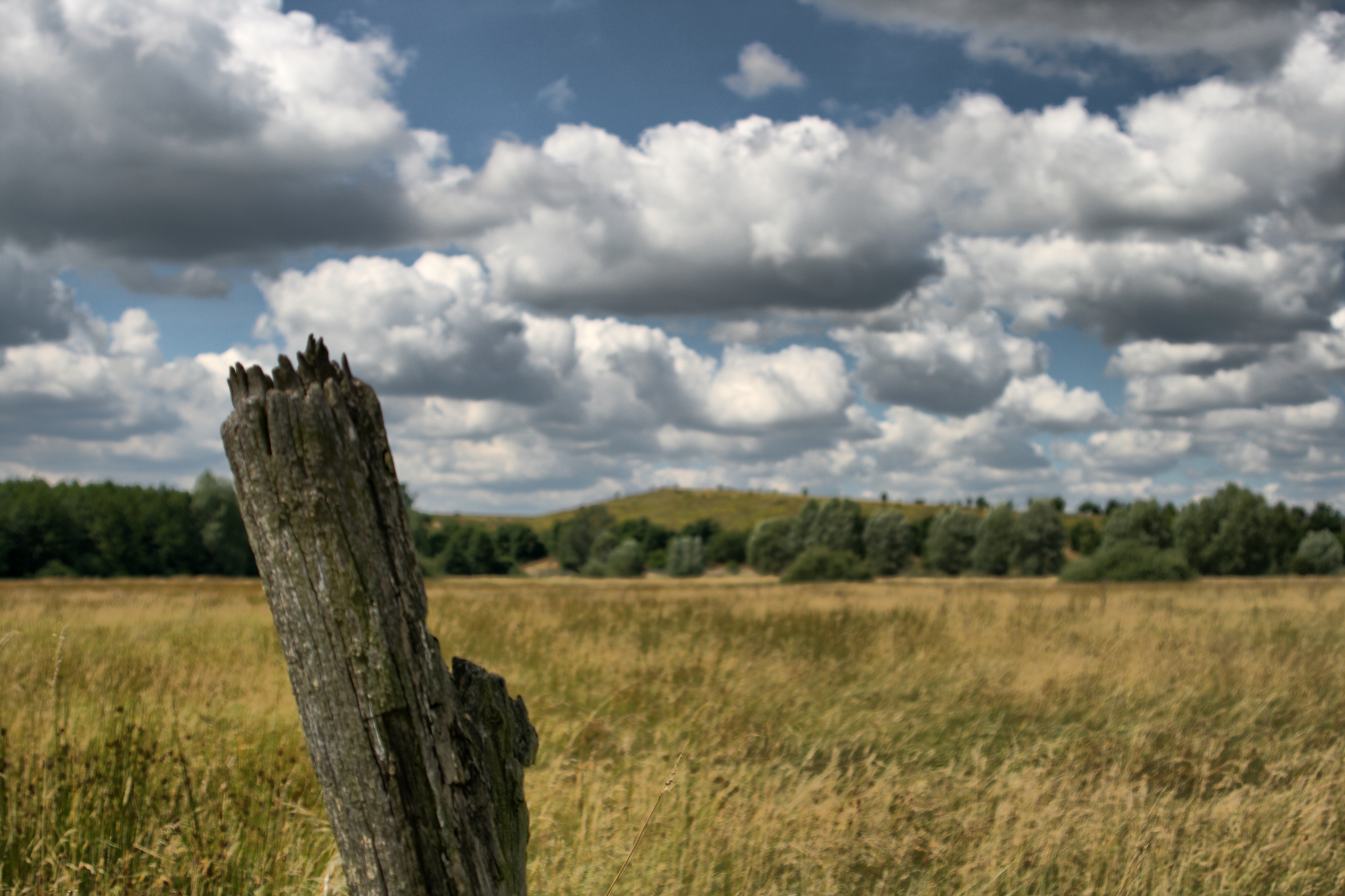 20080720184900-10.jpg