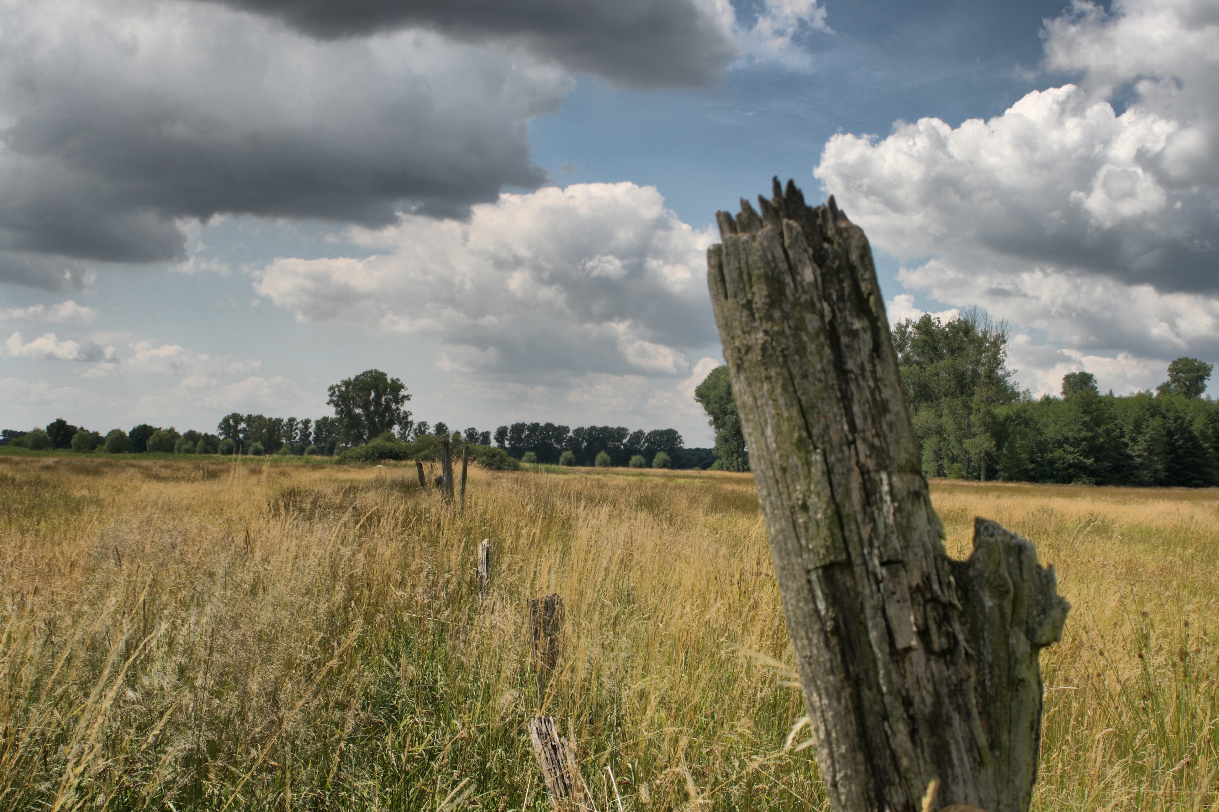 20080720184900-11.jpg