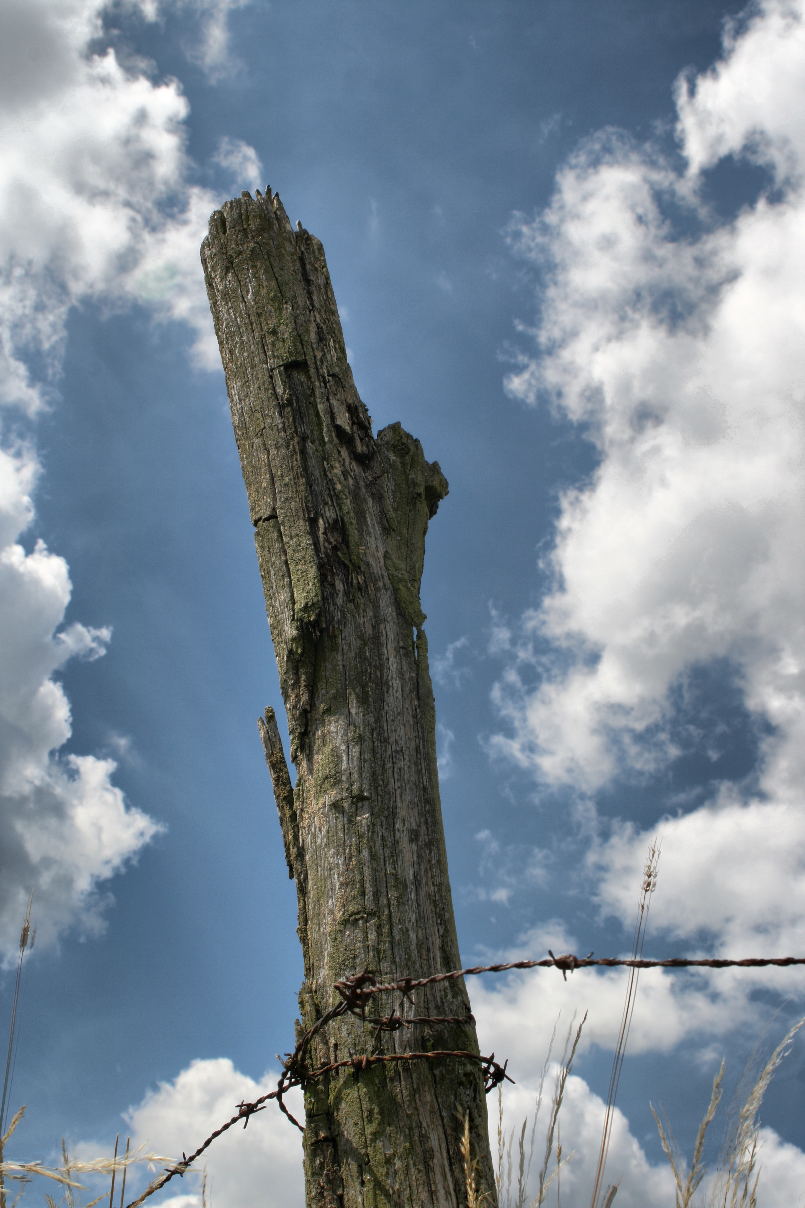 20080720184900-4.jpg