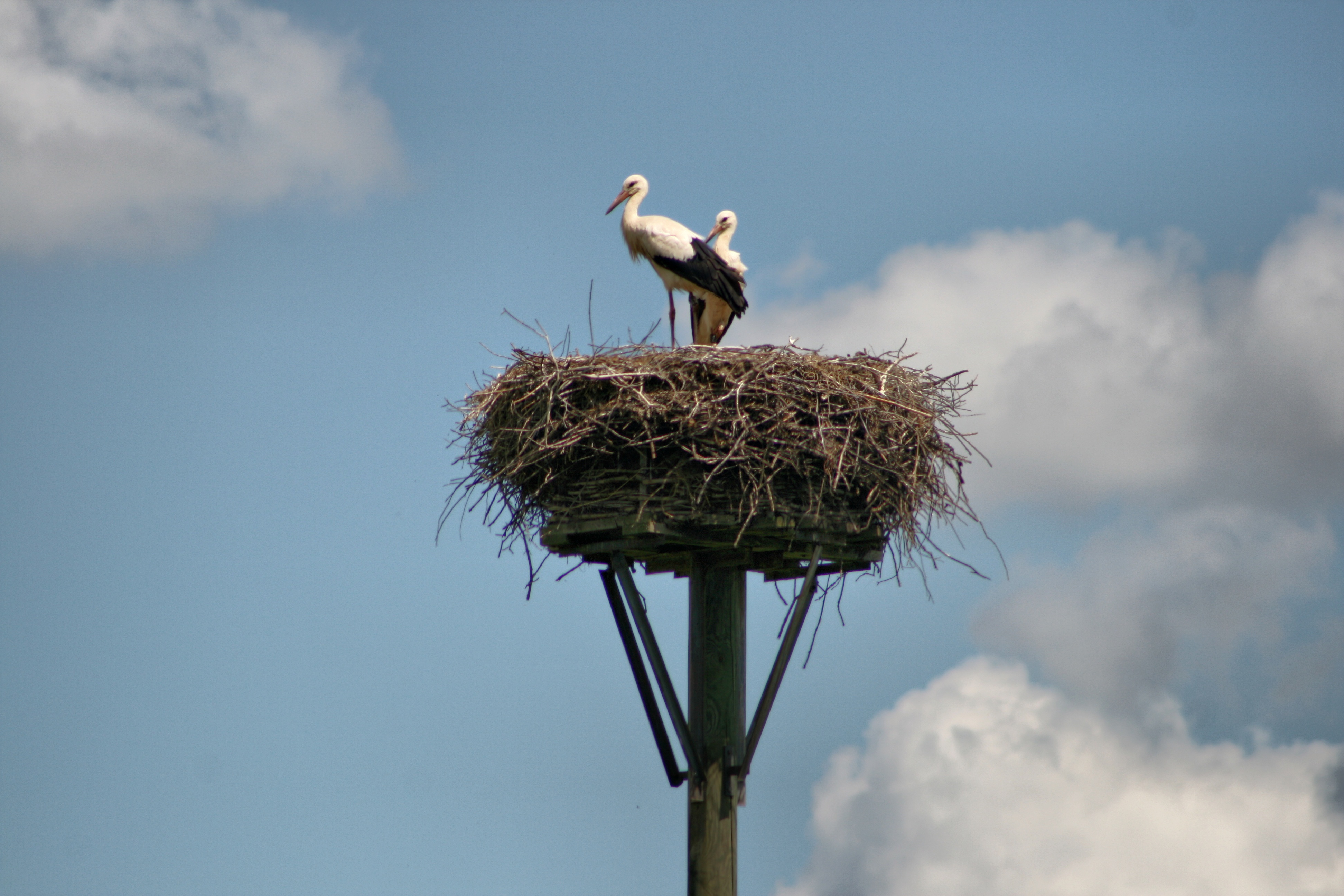 20080720184900-7.jpg