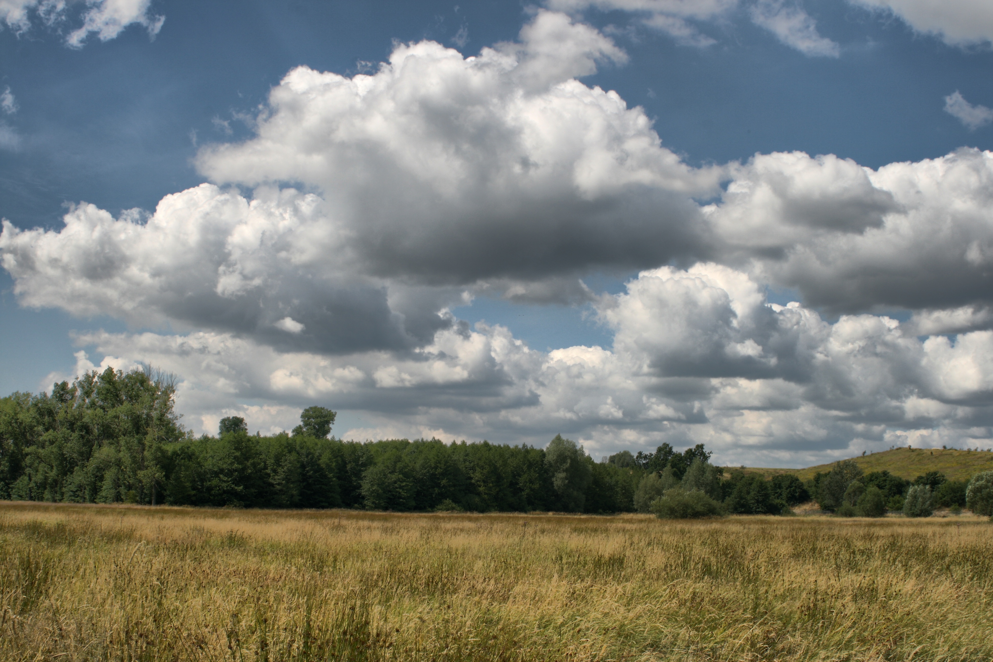 20080720184900-9.jpg