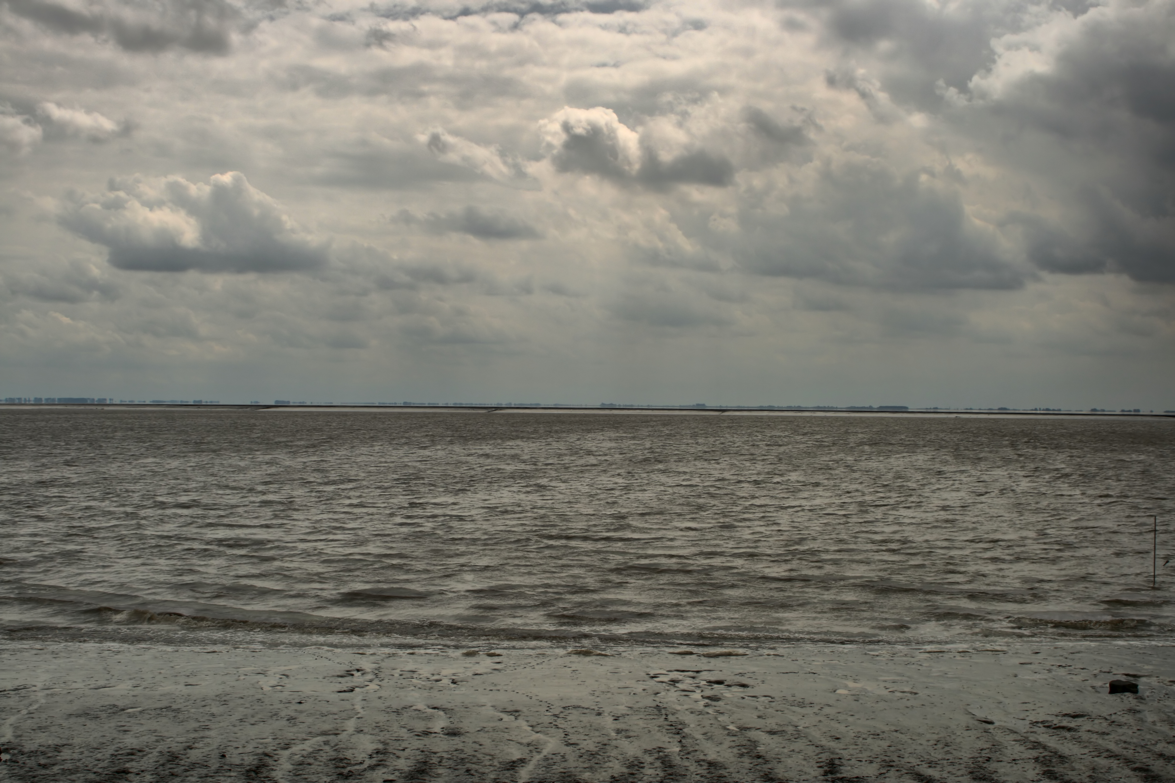 20080720210200-19.jpg