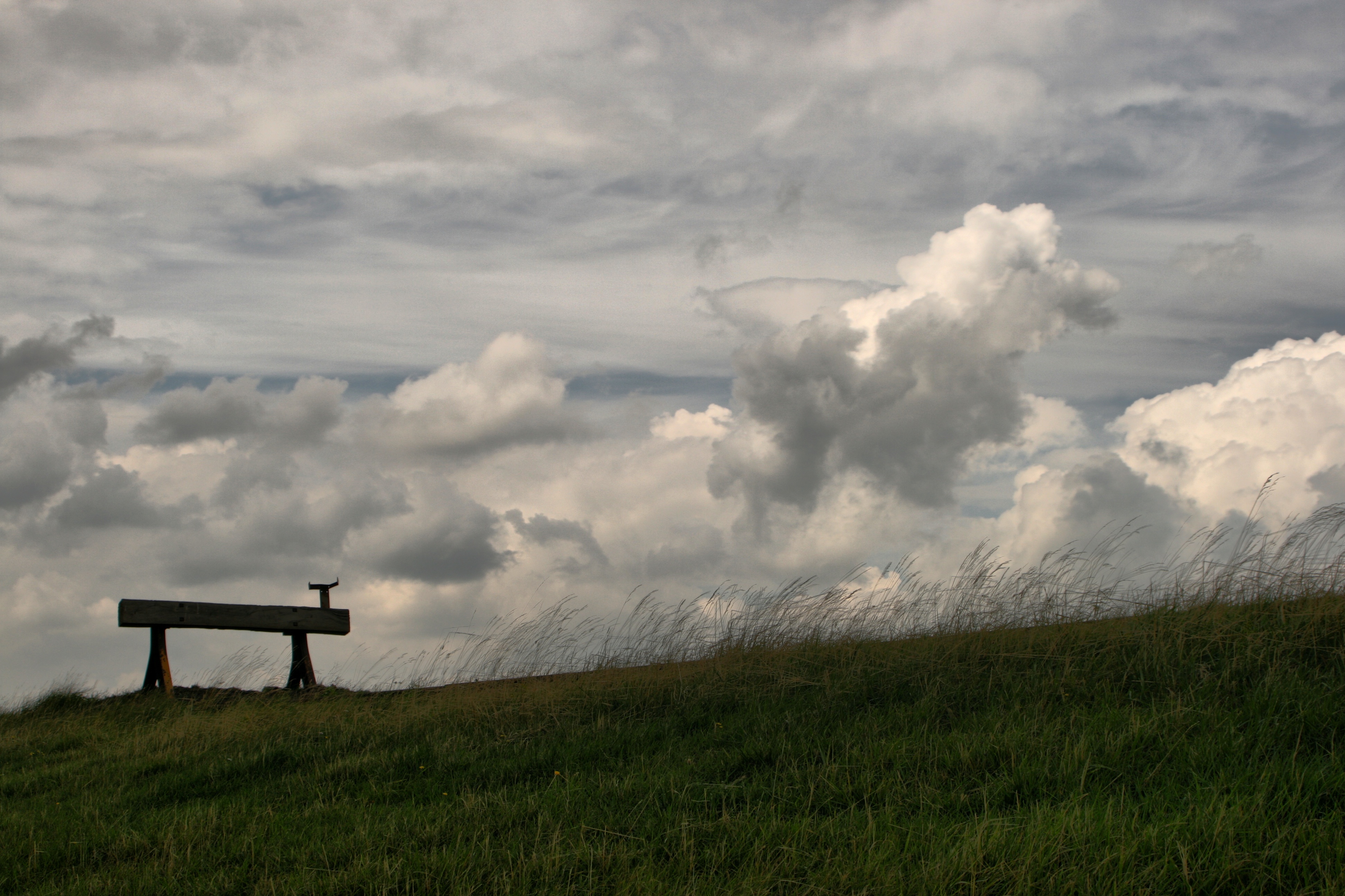 20080720210200-22.jpg