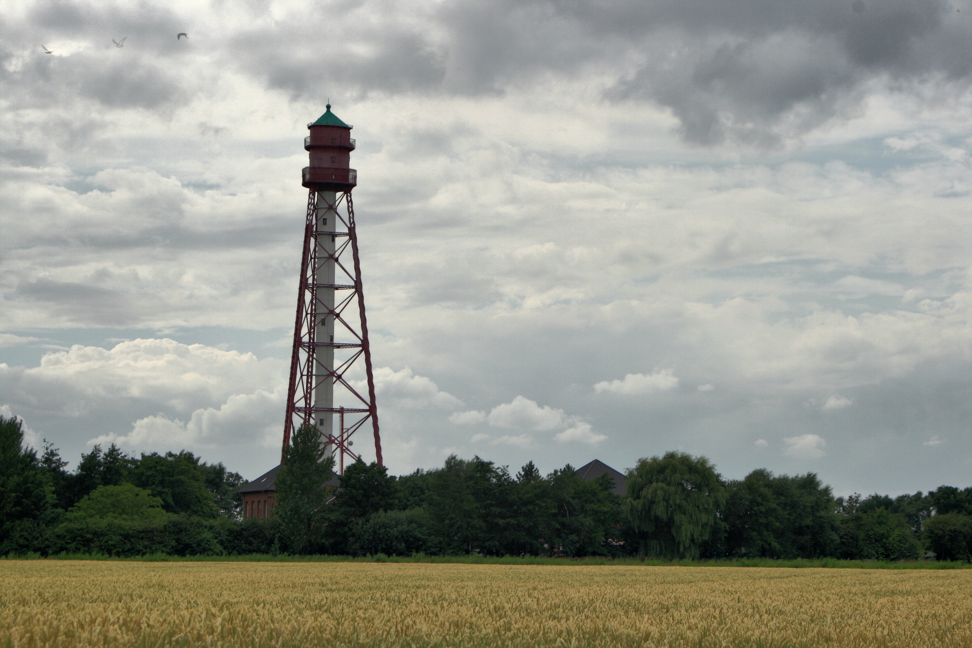 20080720210200-25.jpg