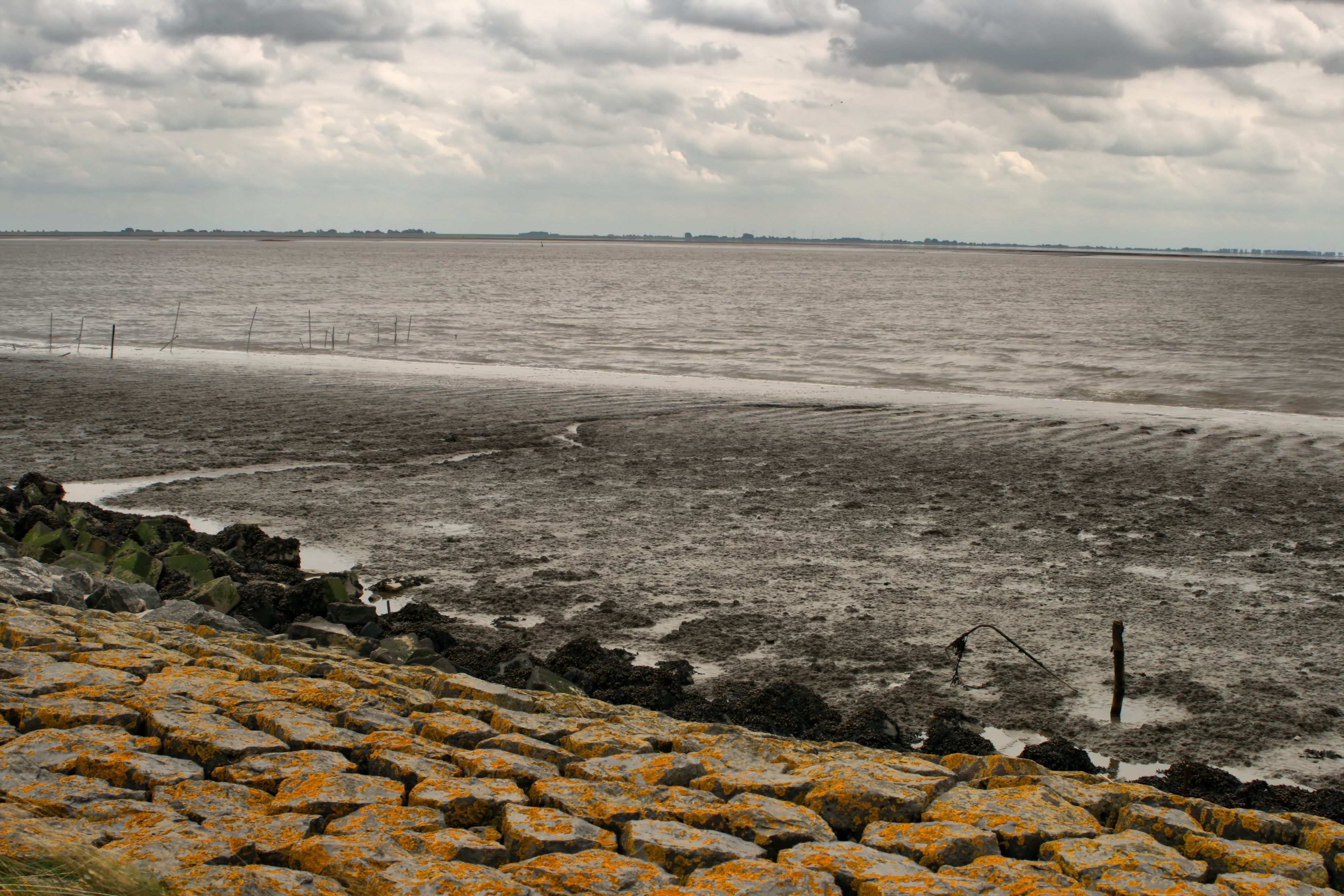 20080720210200-26.jpg