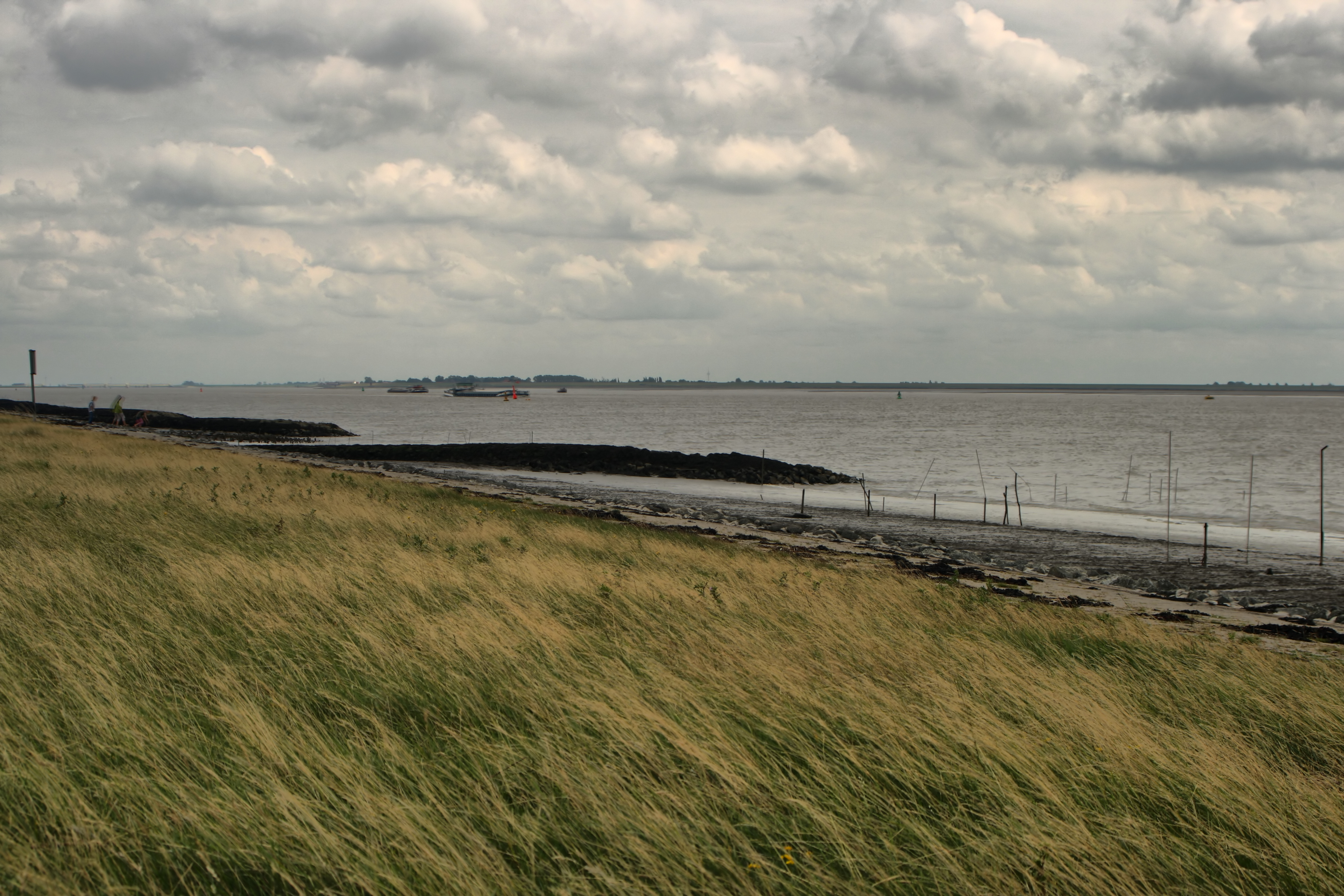 20080720210200-3.jpg