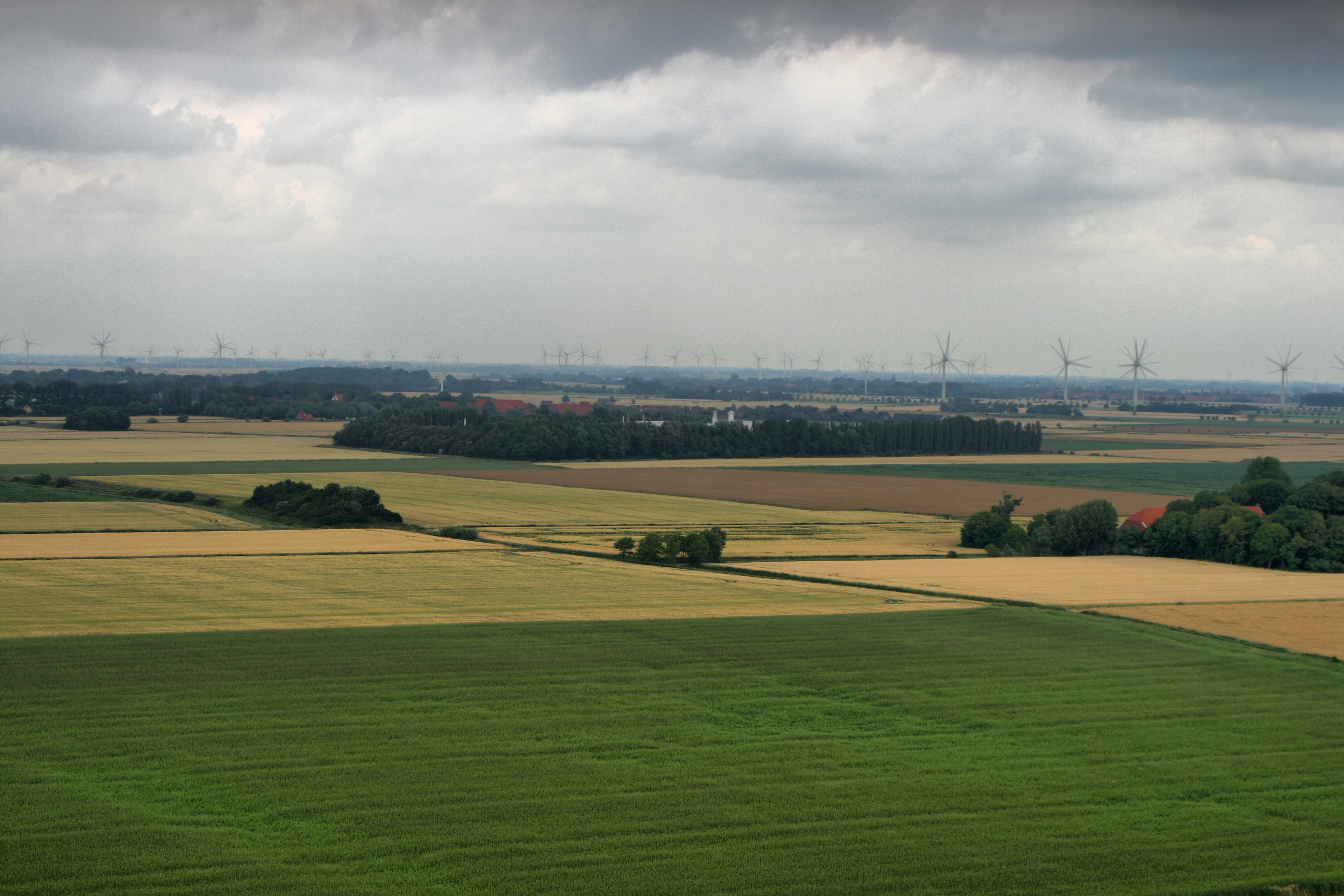 20080720210200-4.jpg