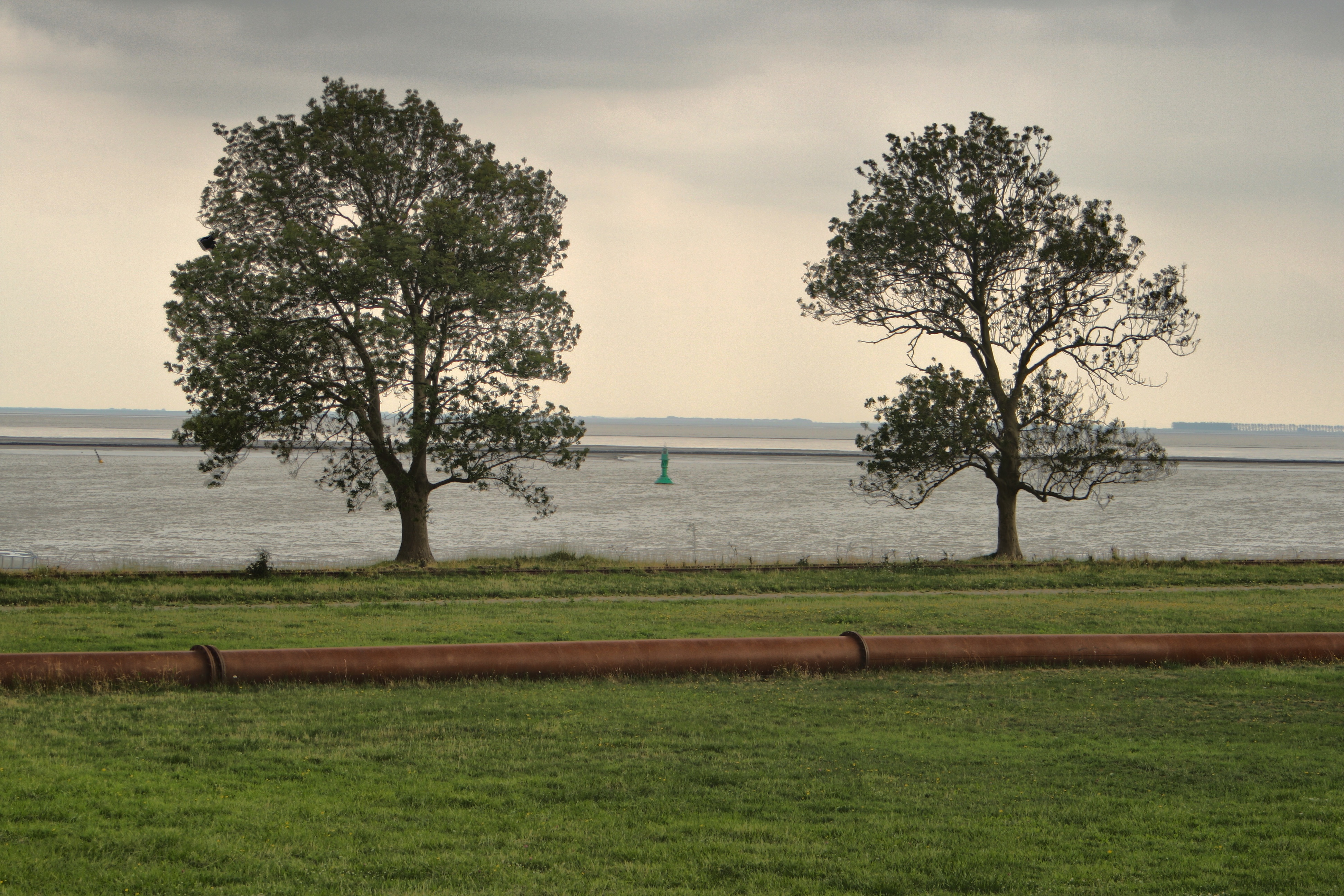 20080720210200-9.jpg