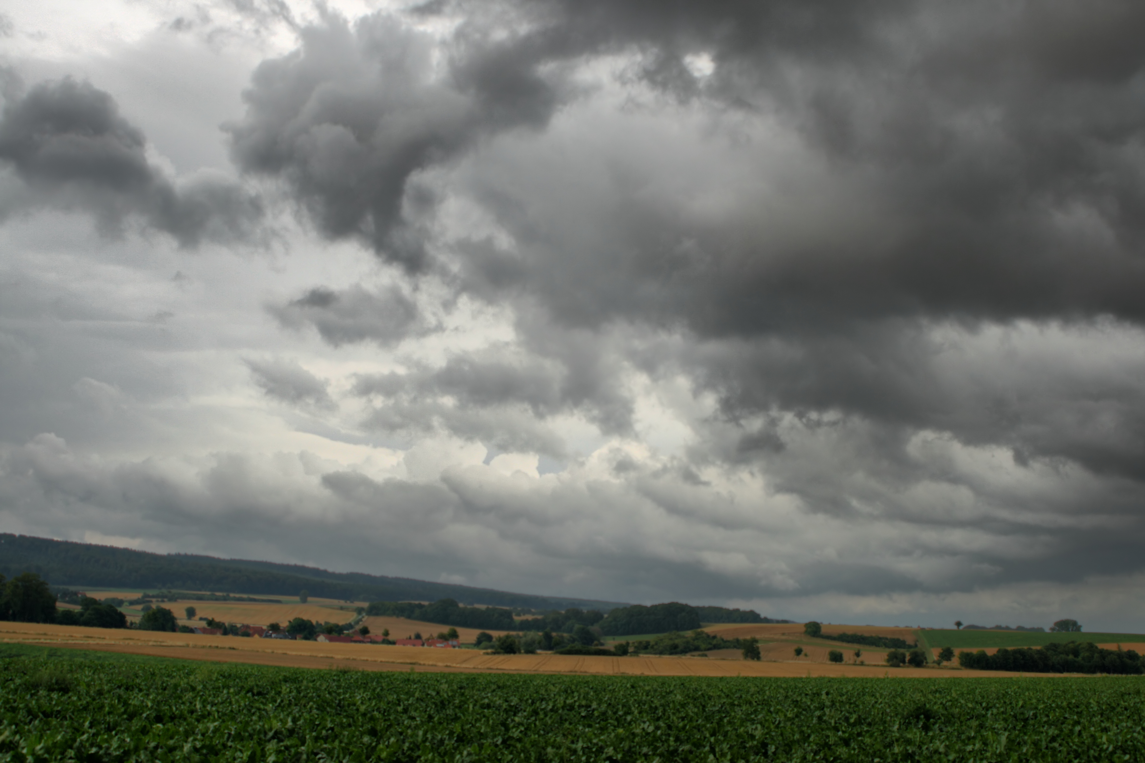 20080721035000-11.jpg