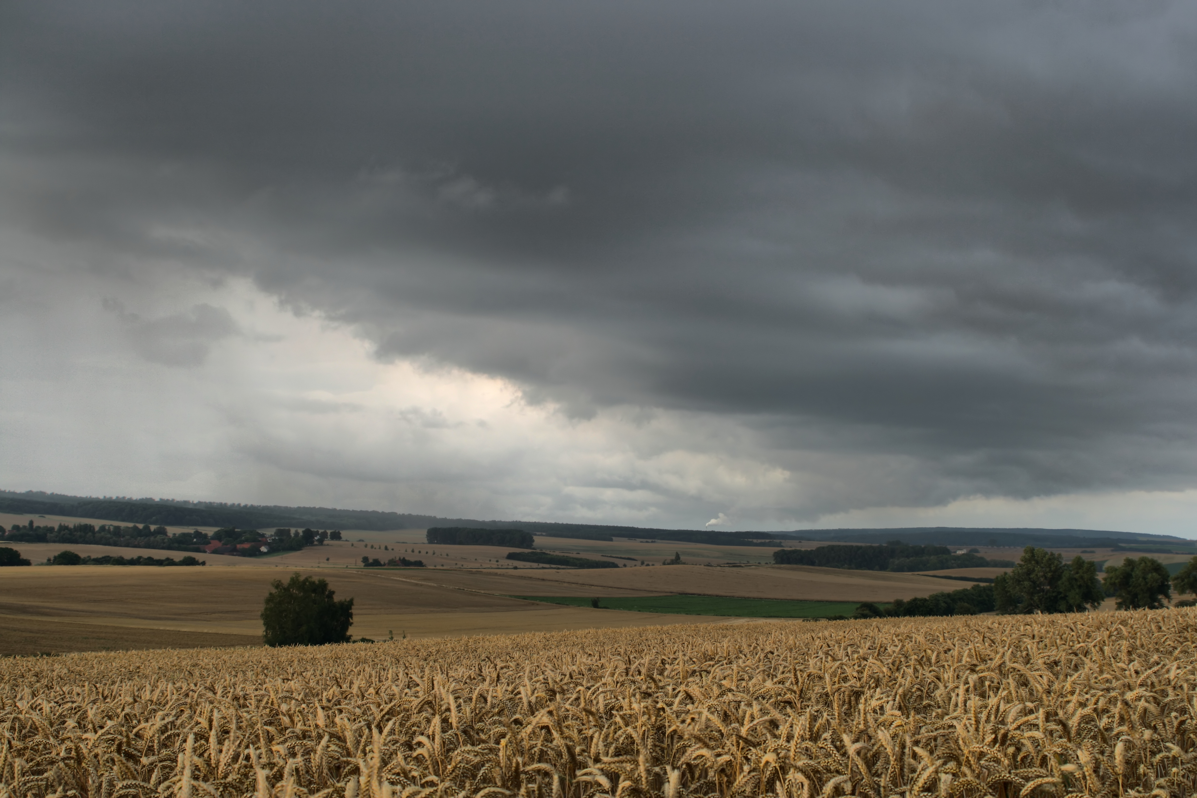 20080721035000-15.jpg