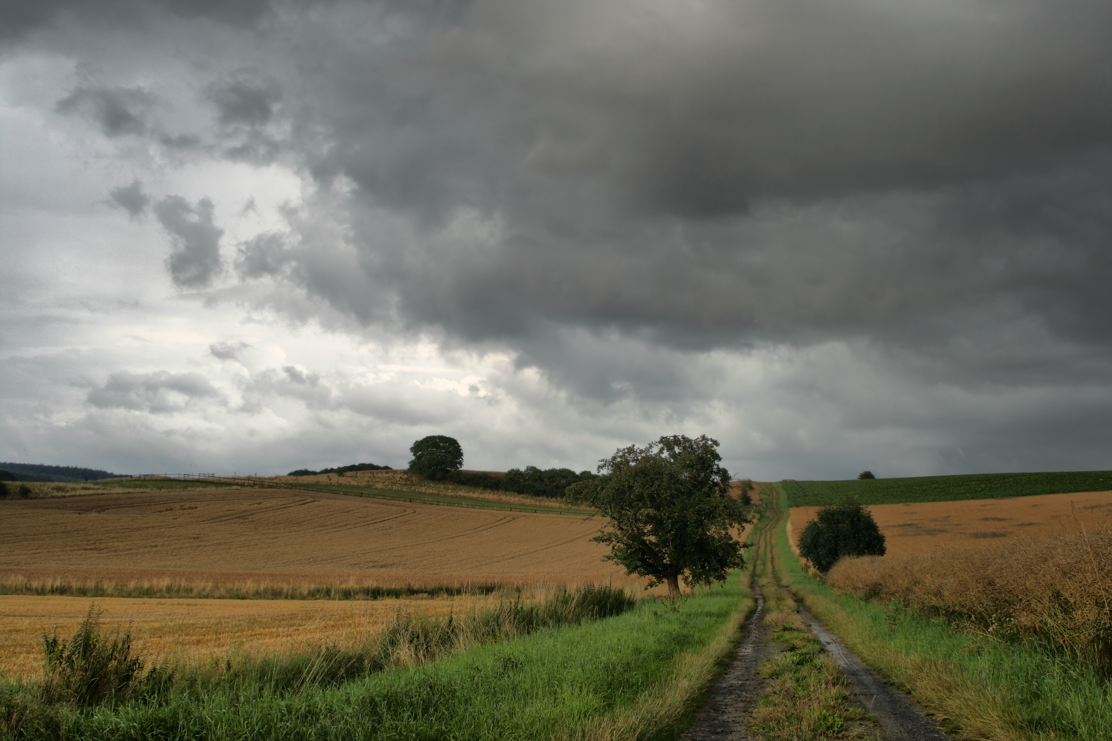 20080721035000-19.jpg