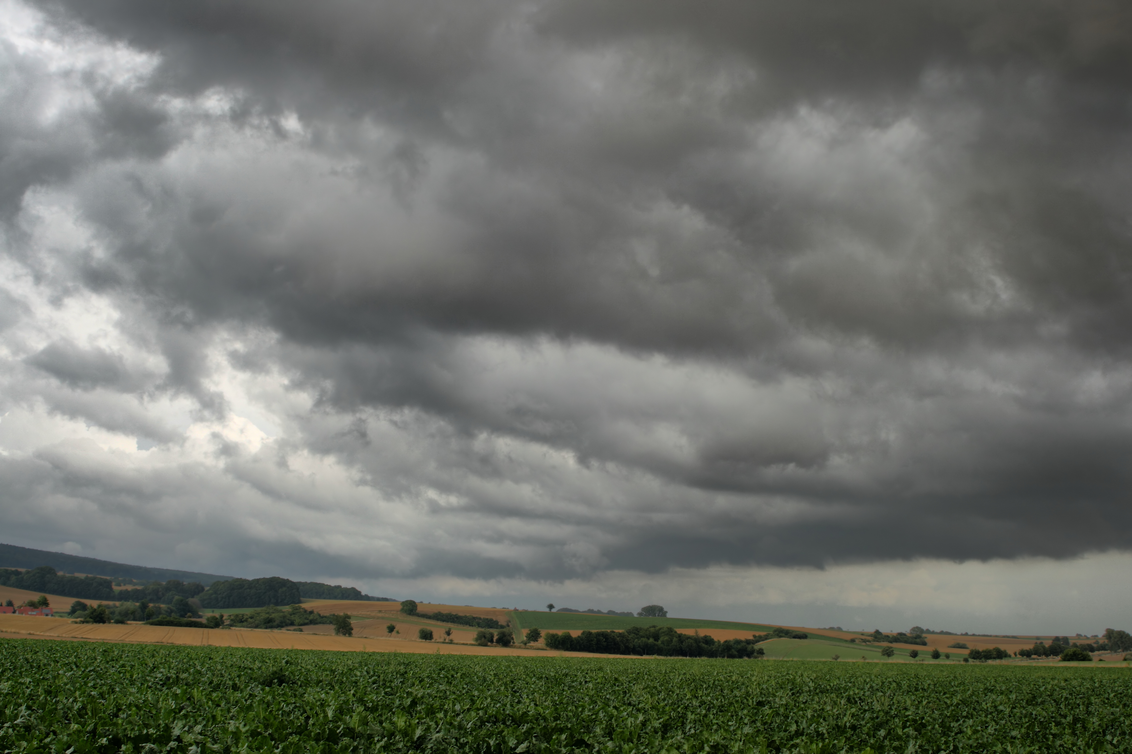20080721035000-20.jpg