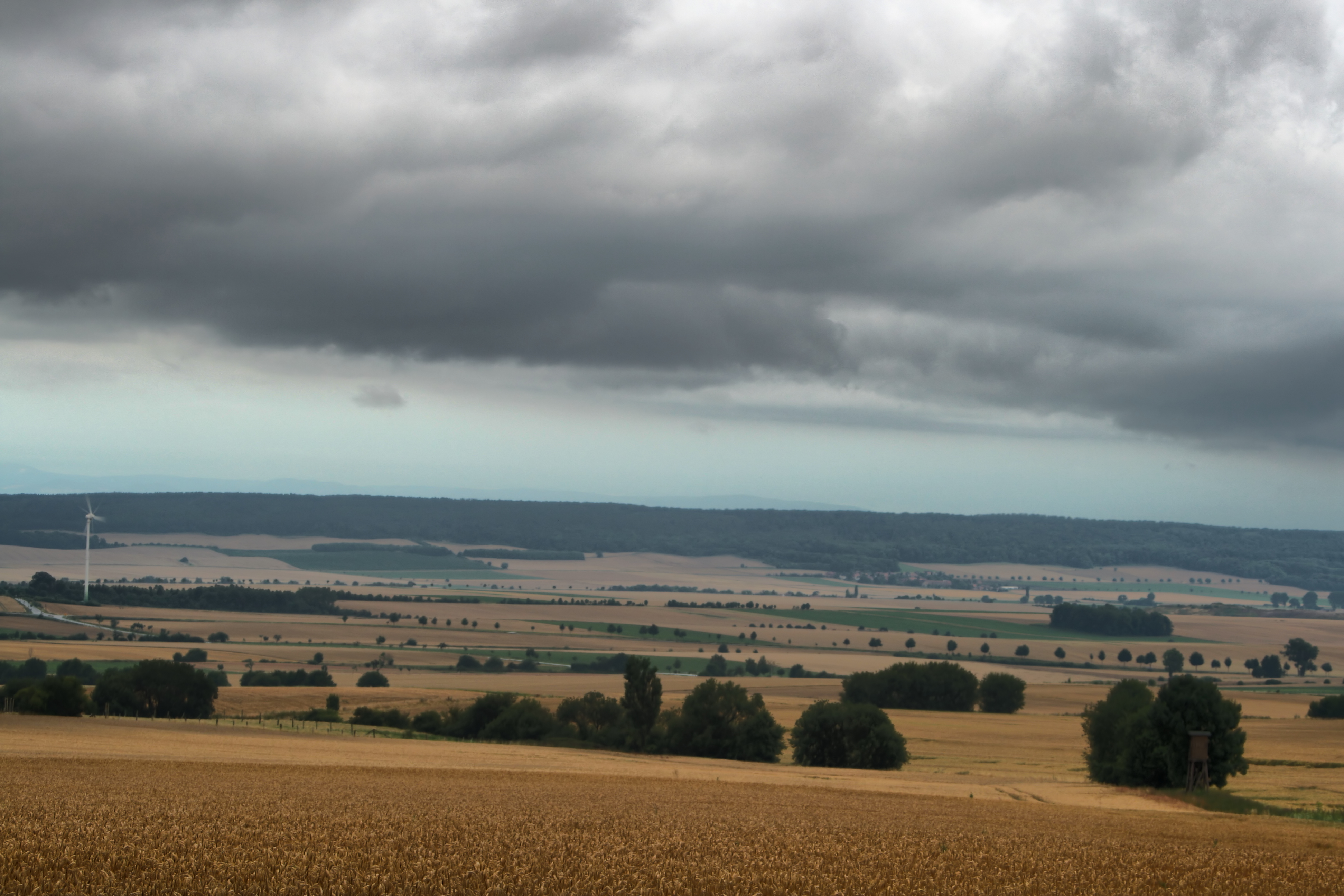 20080721035000-21.jpg