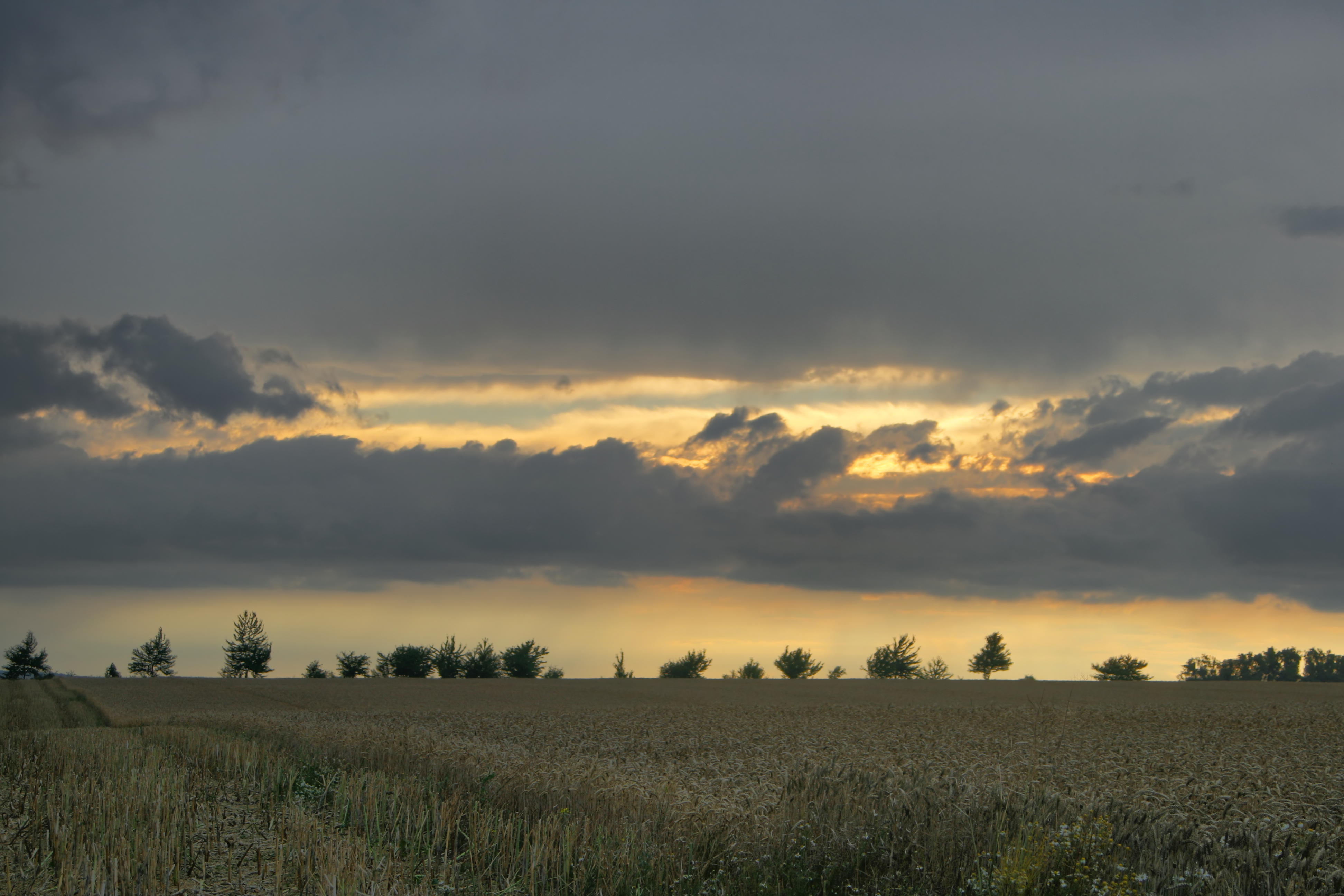 20080721035000-22.jpg