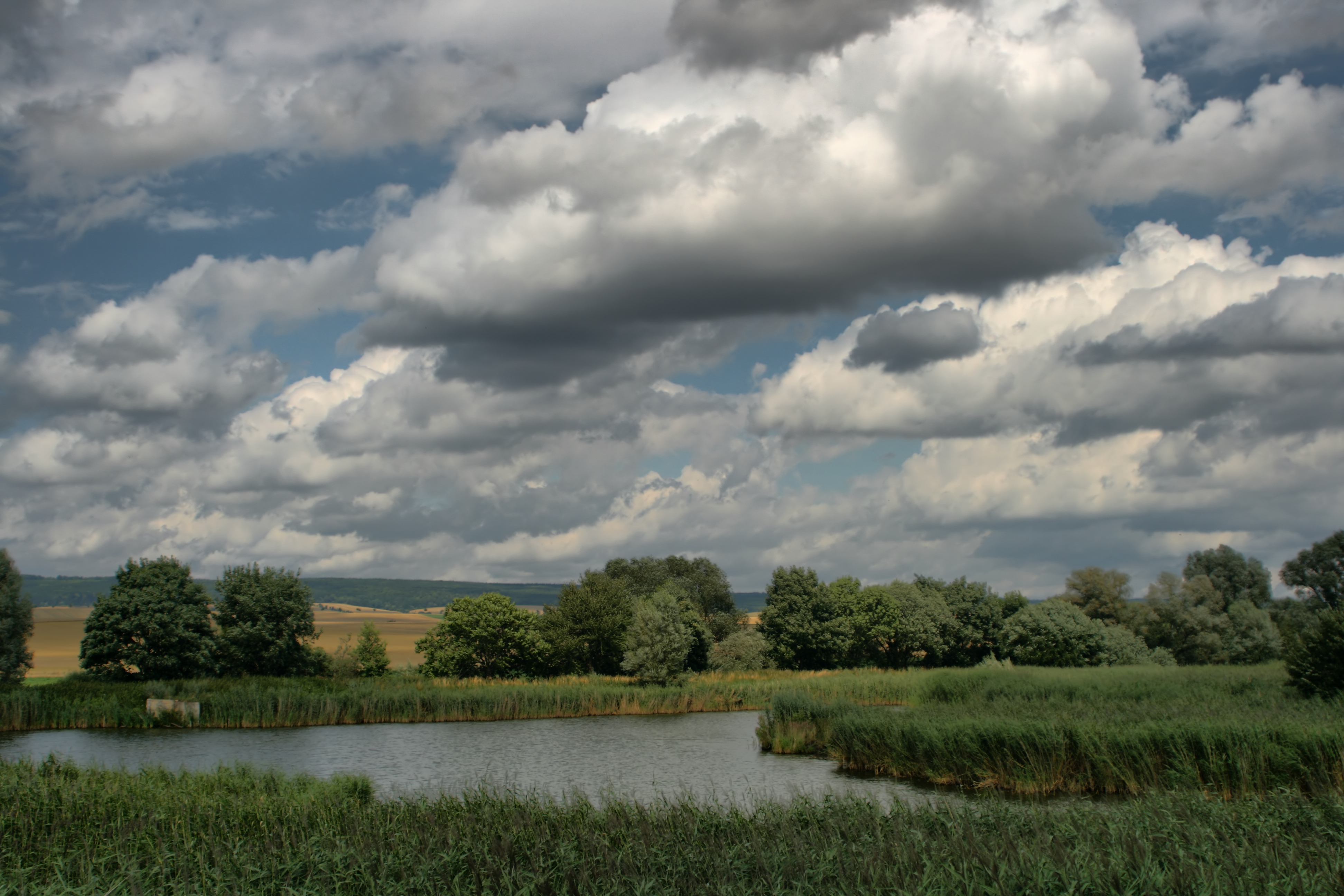 20080721035000-24.jpg