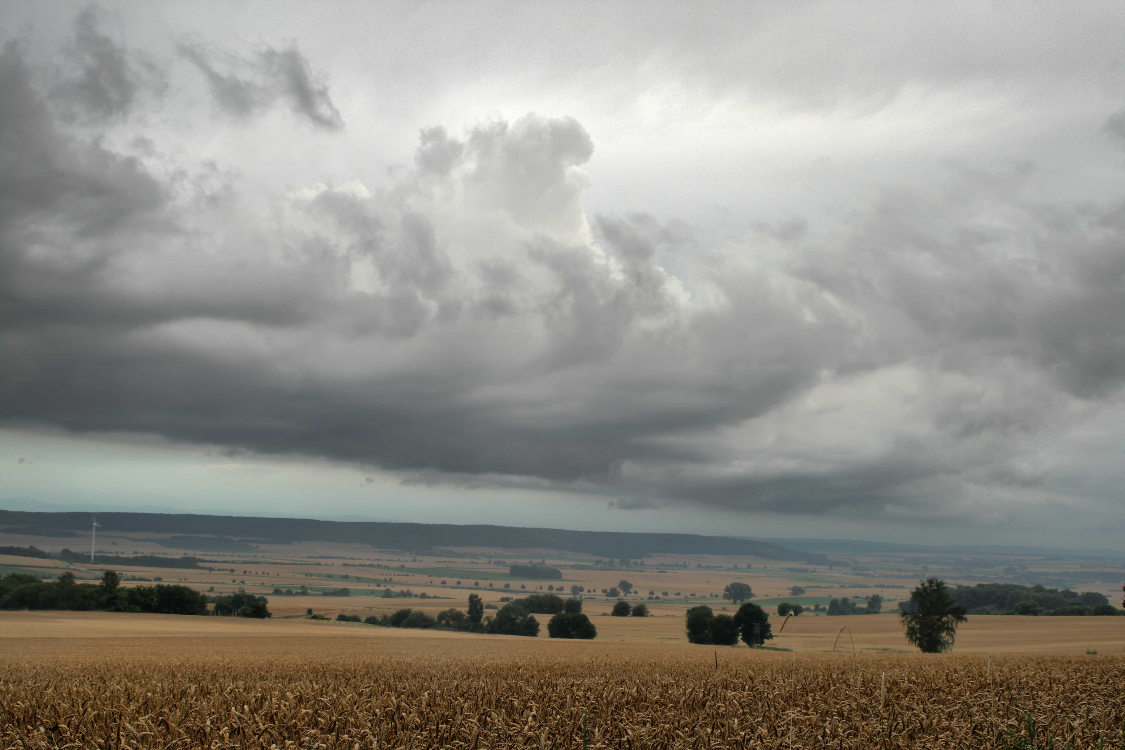 20080721035000-25.jpg