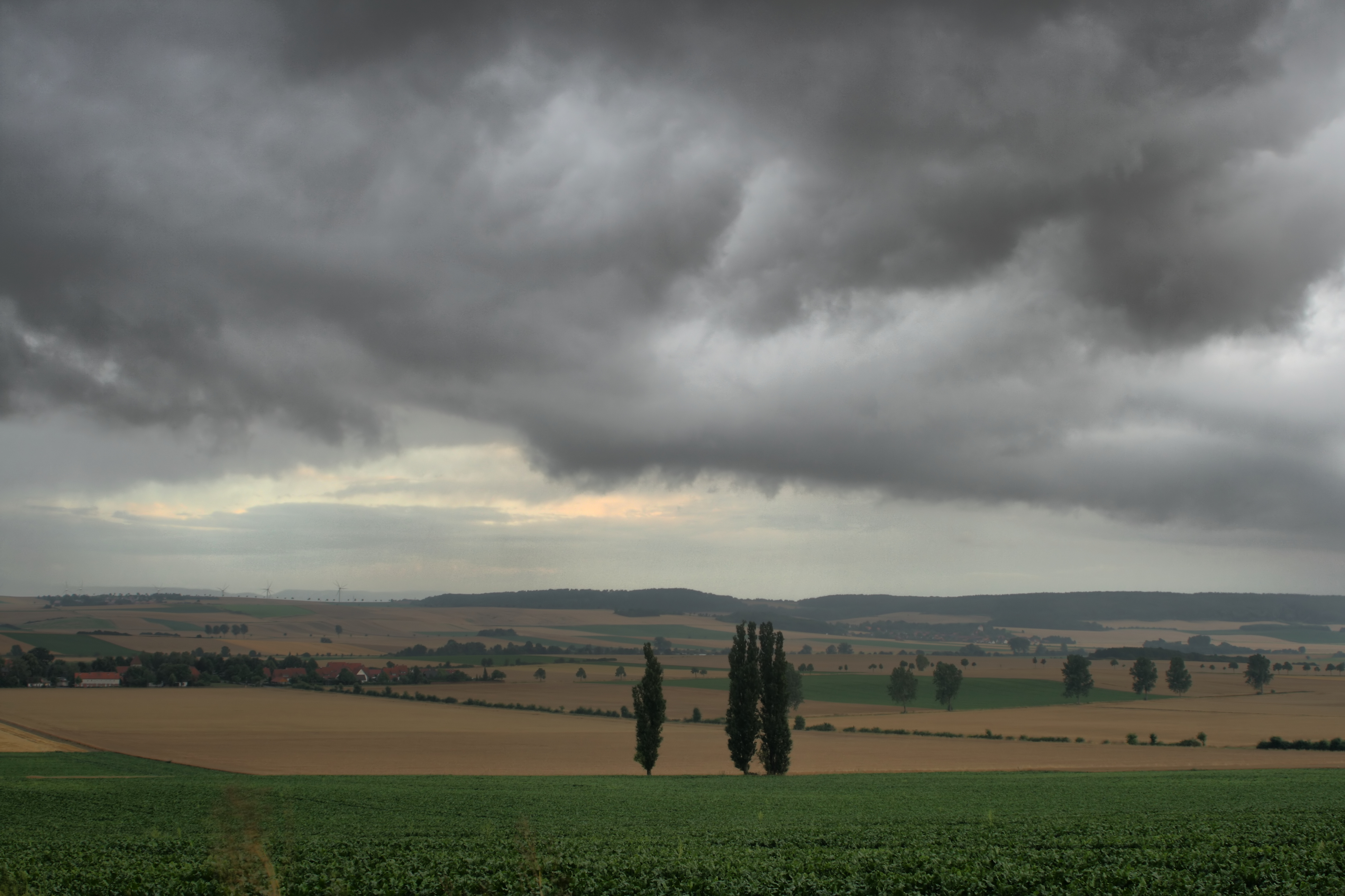 20080721035000-27.jpg