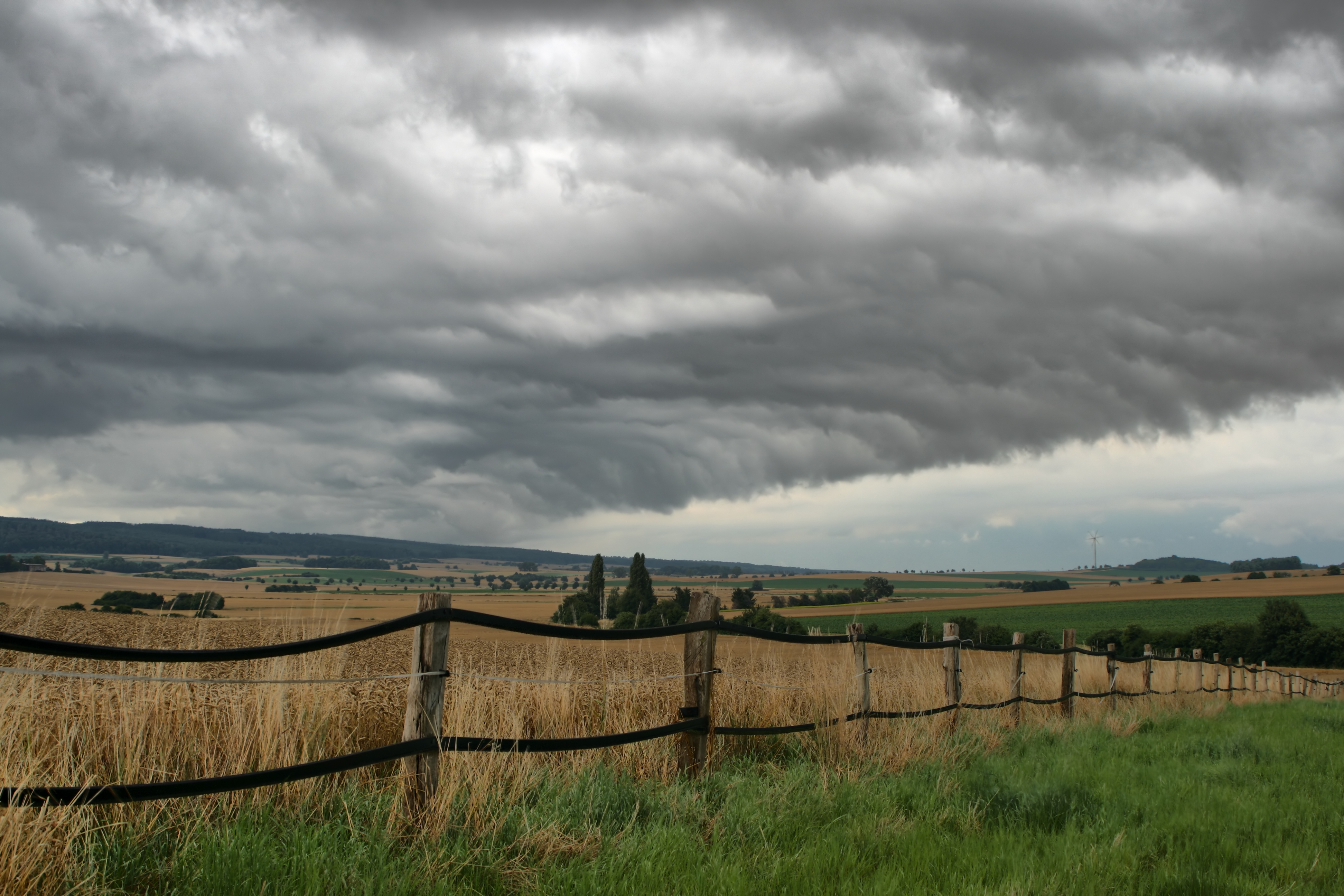 20080721035000-3.jpg