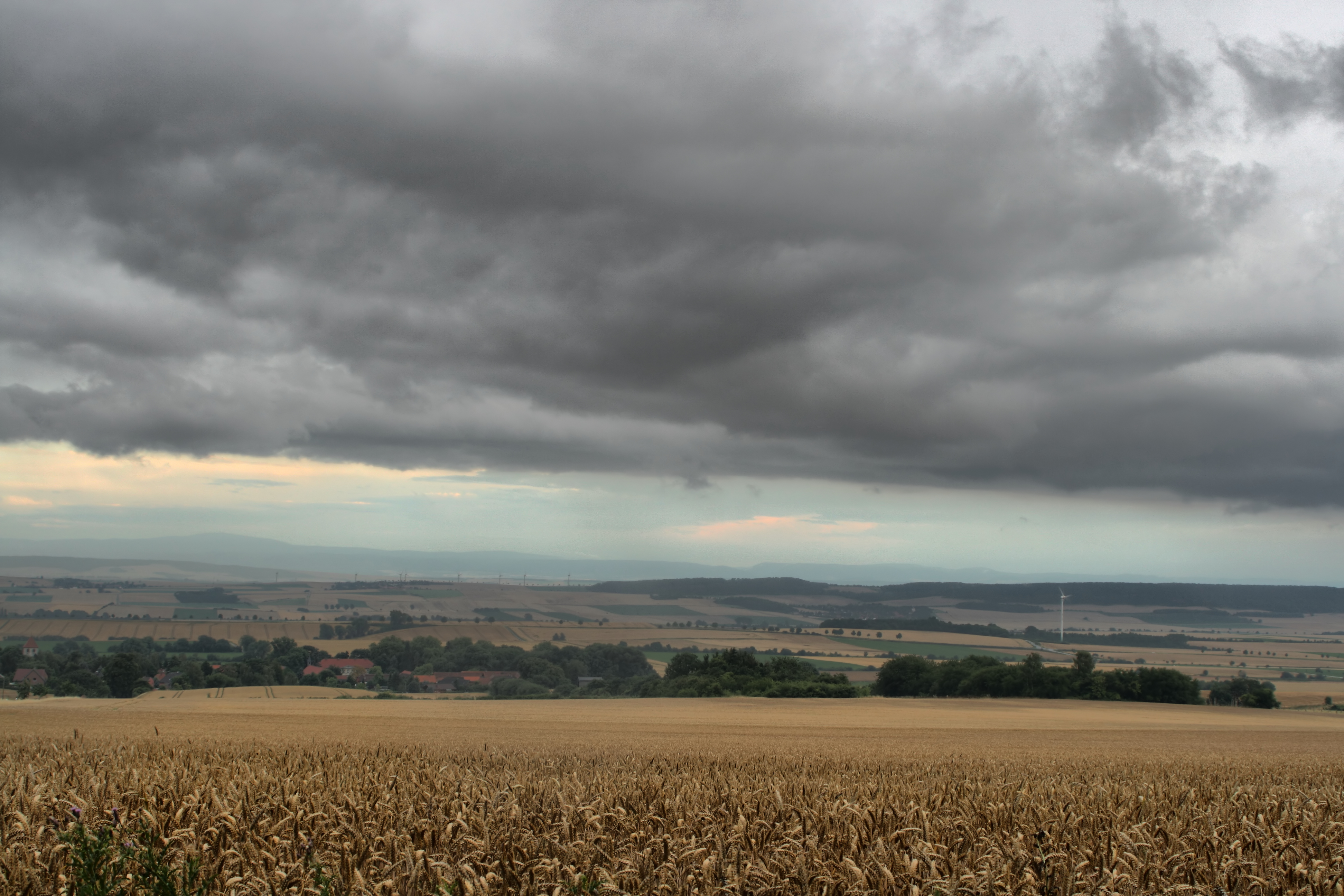 20080721035000-30.jpg