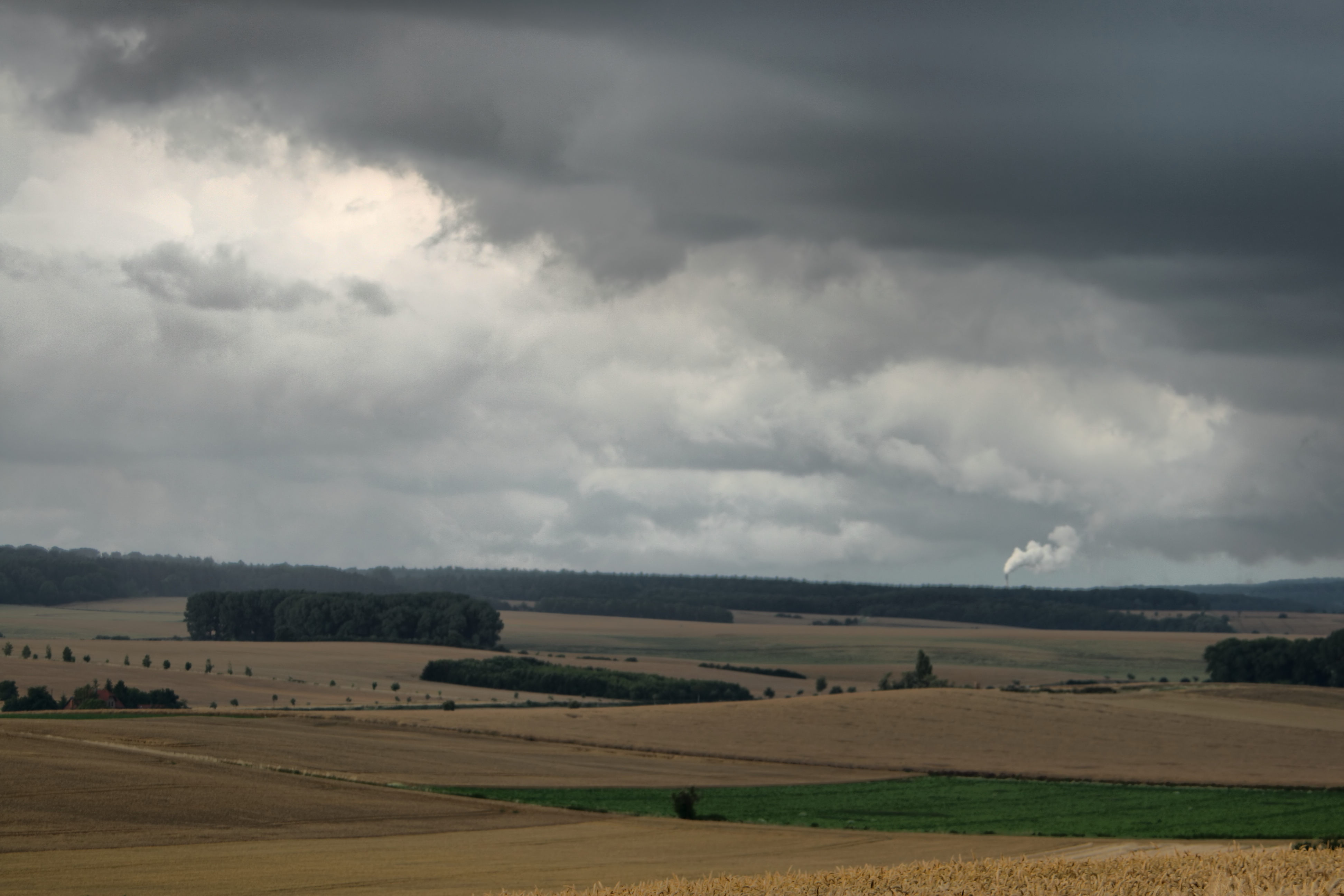 20080721035000-34.jpg