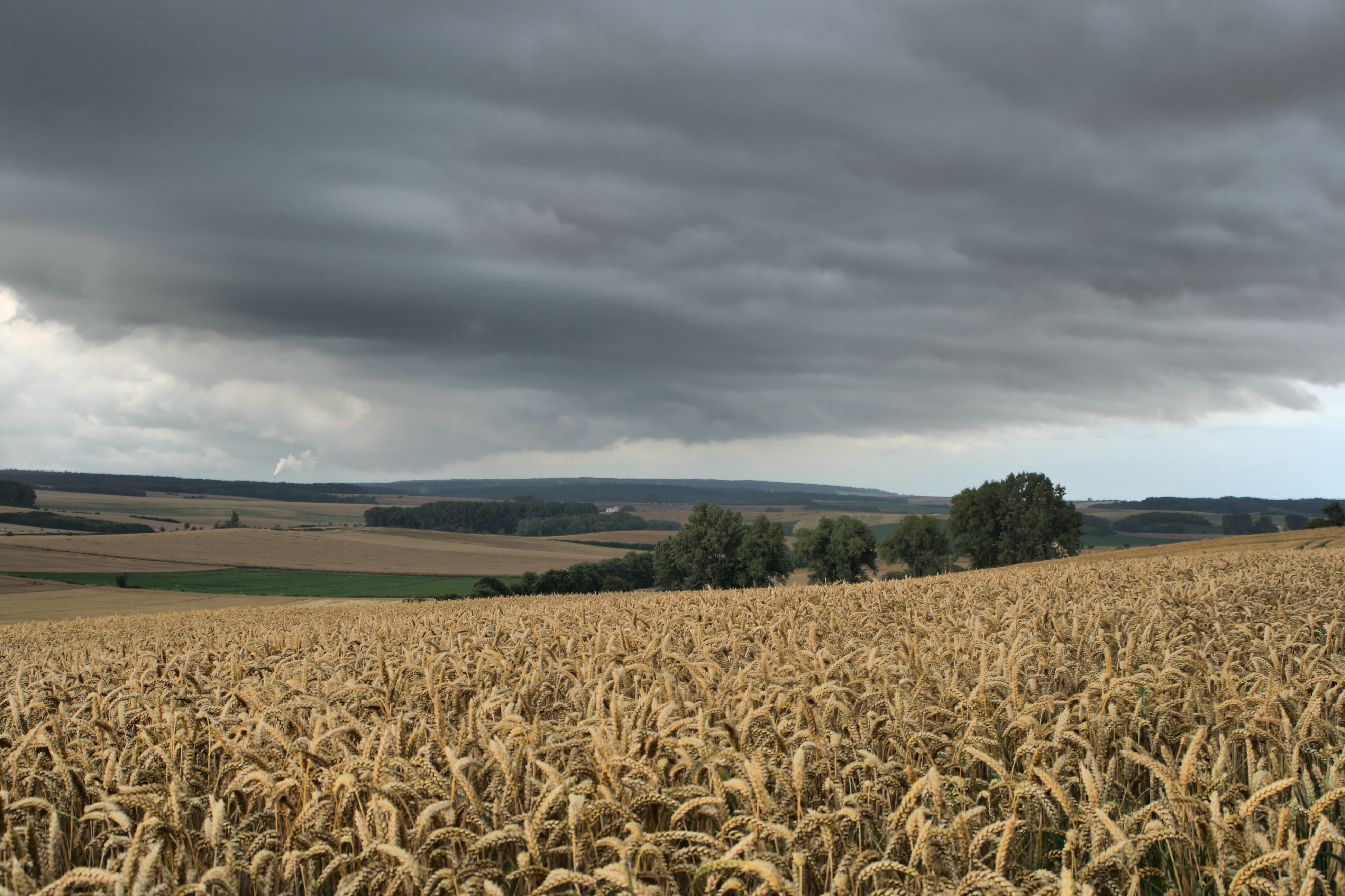 20080721035000-36.jpg