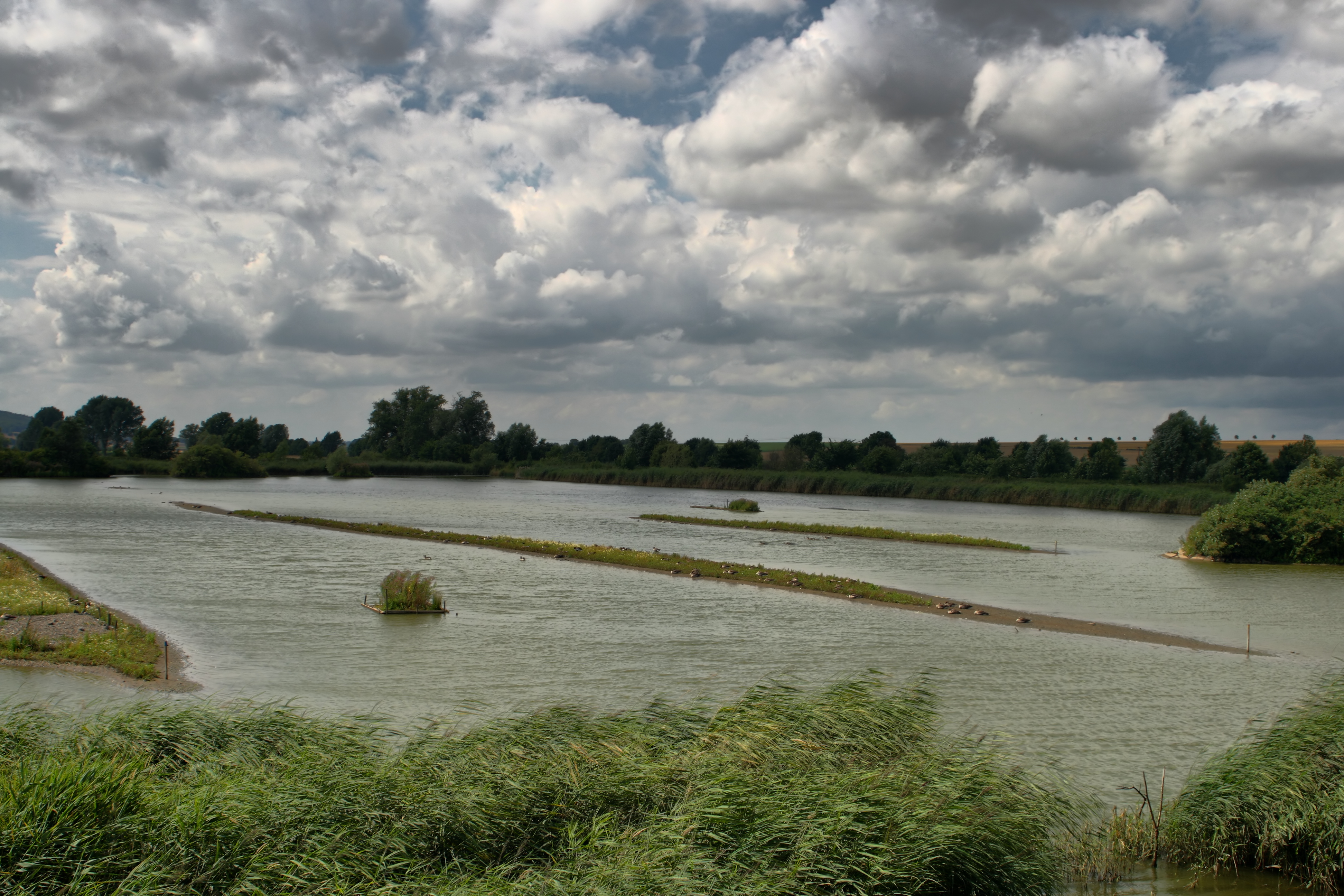 20080721035000-37.jpg