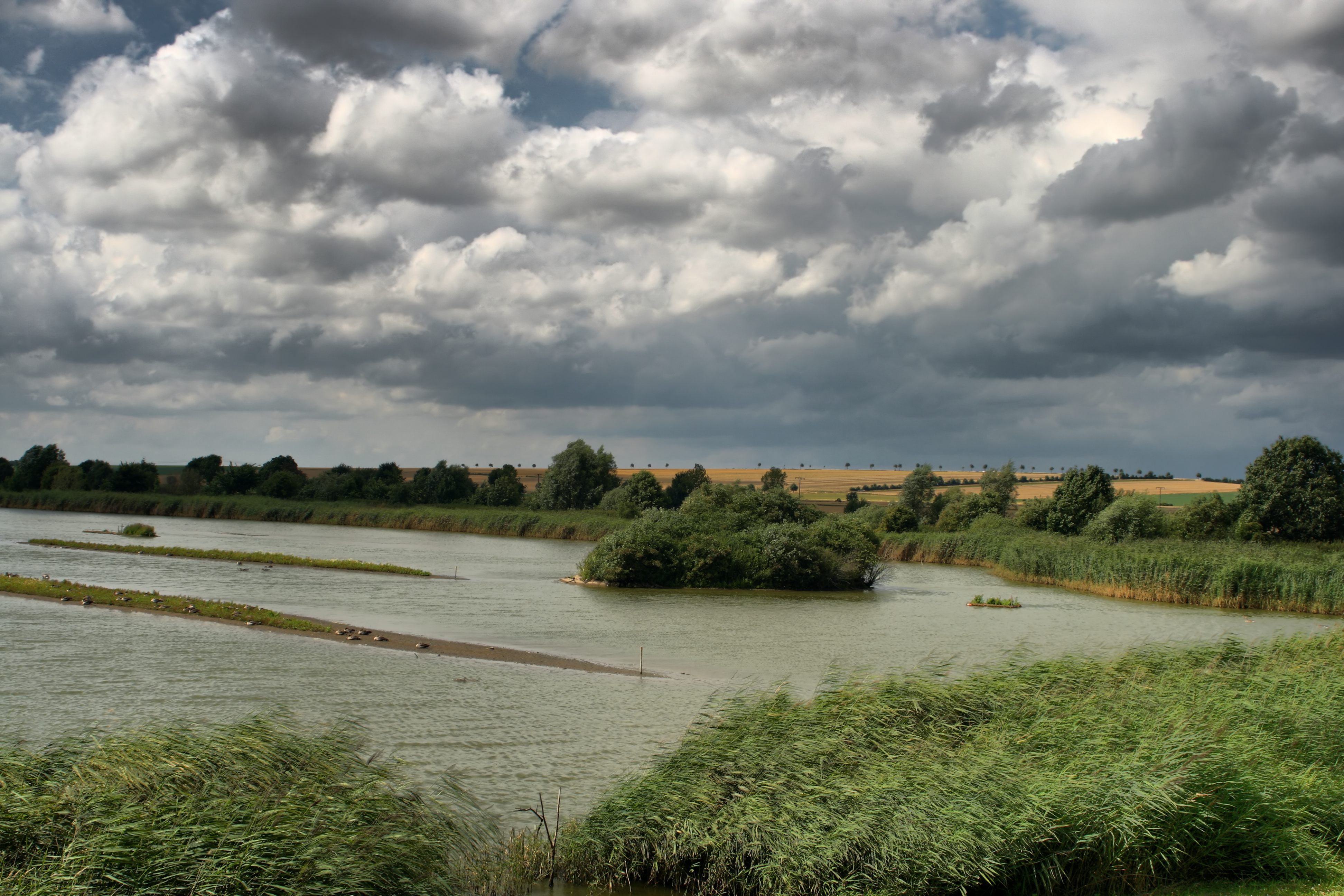 20080721035000-38.jpg