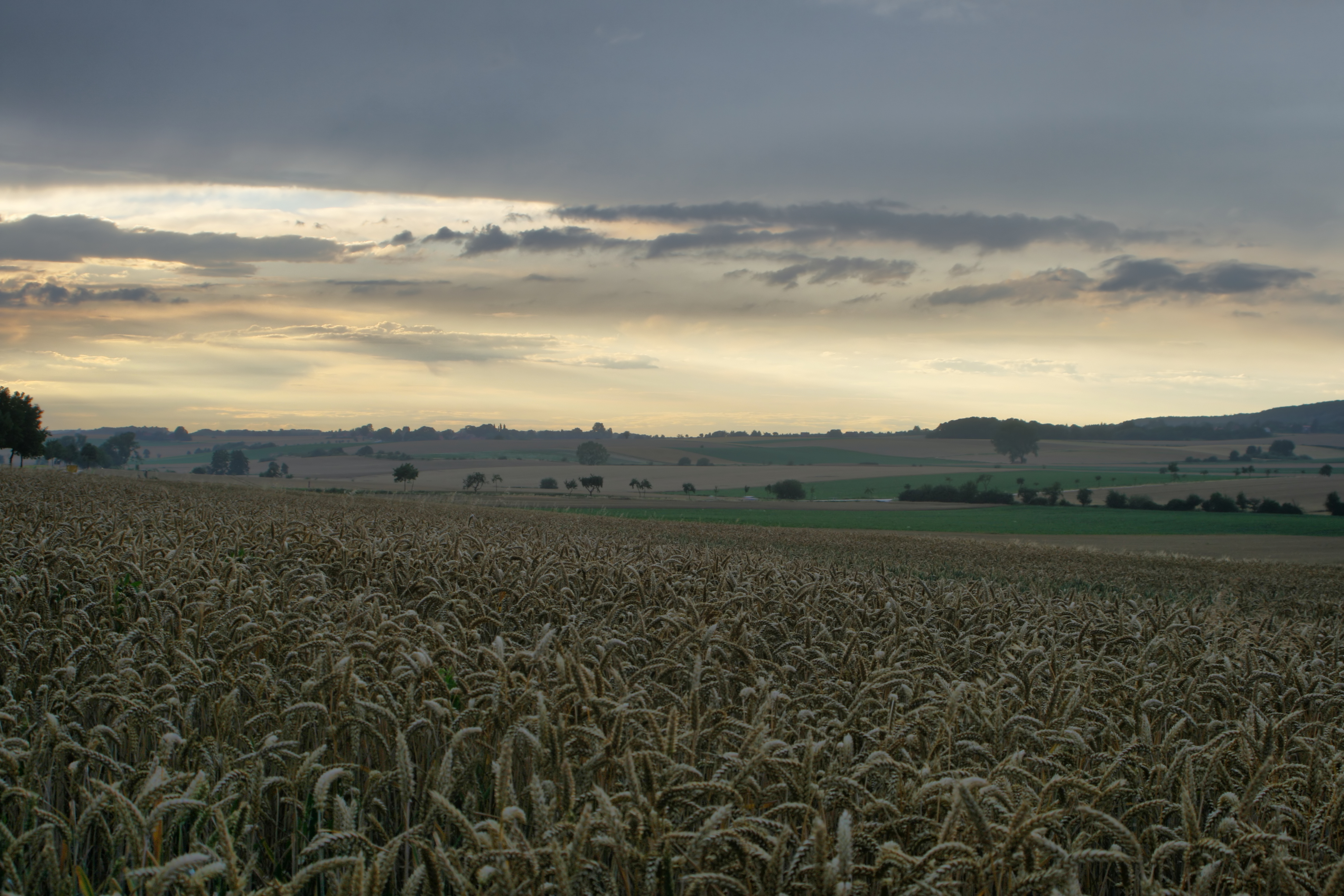 20080721035000-5.jpg