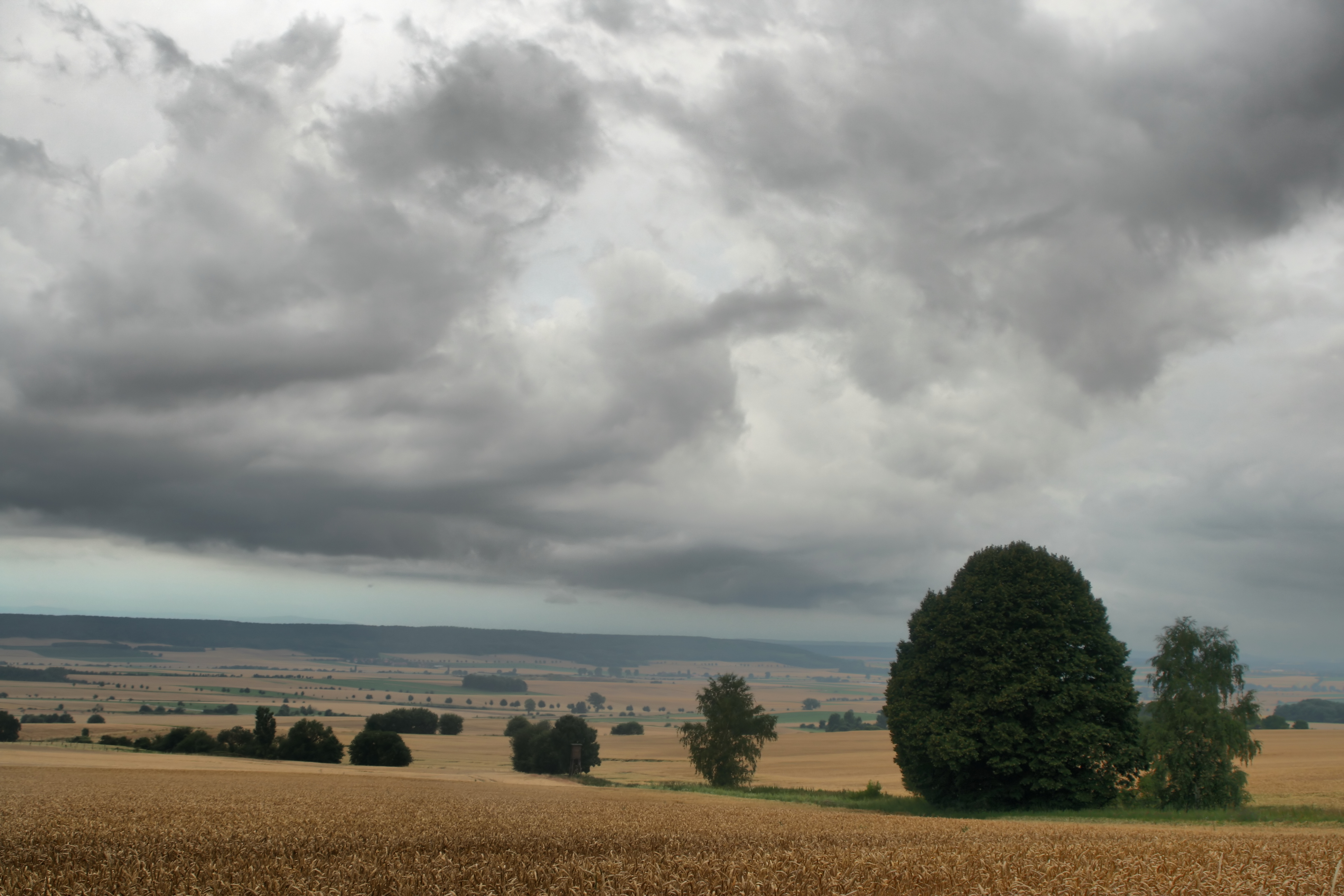 20080721035000-6.jpg