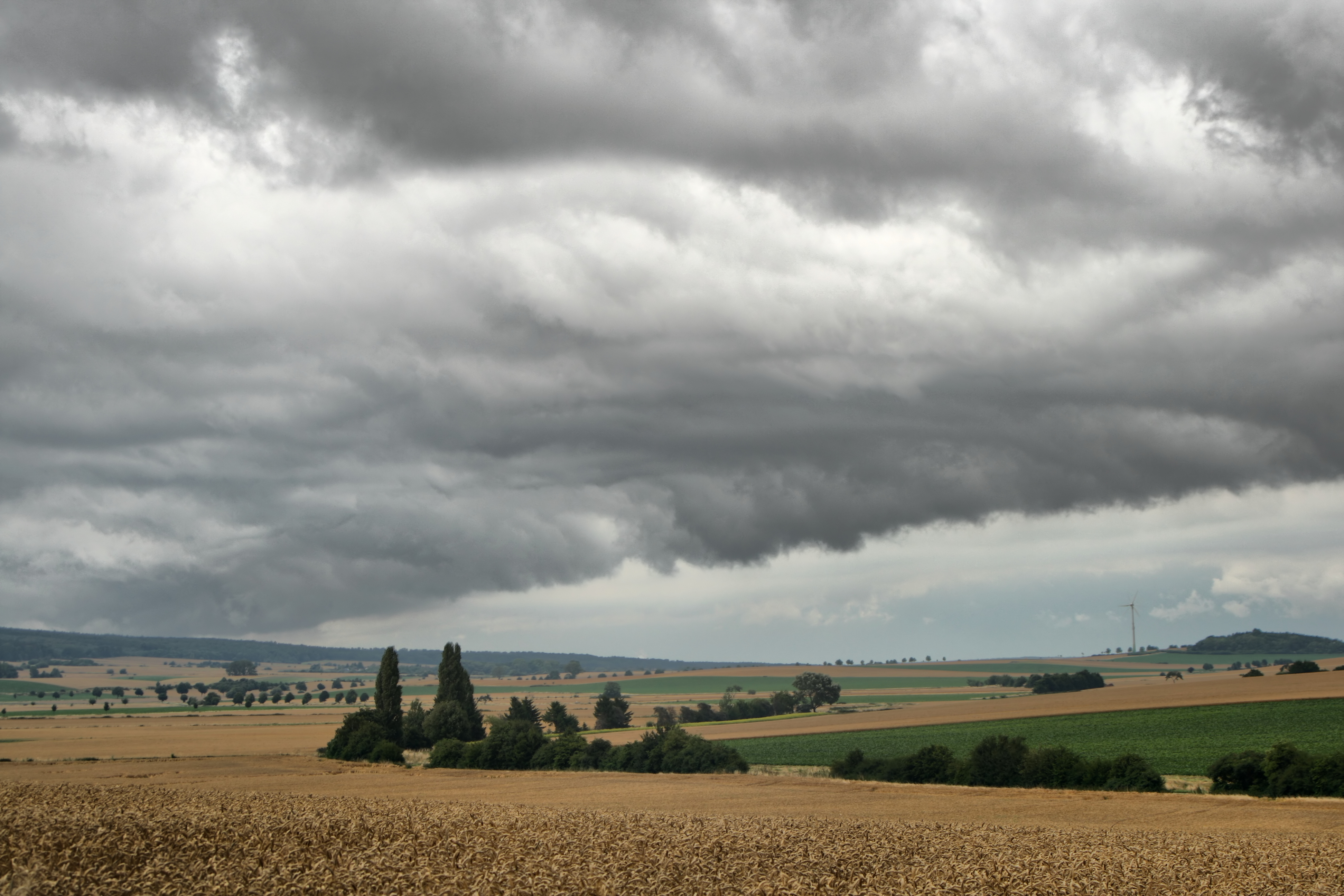 20080721035000-8.jpg
