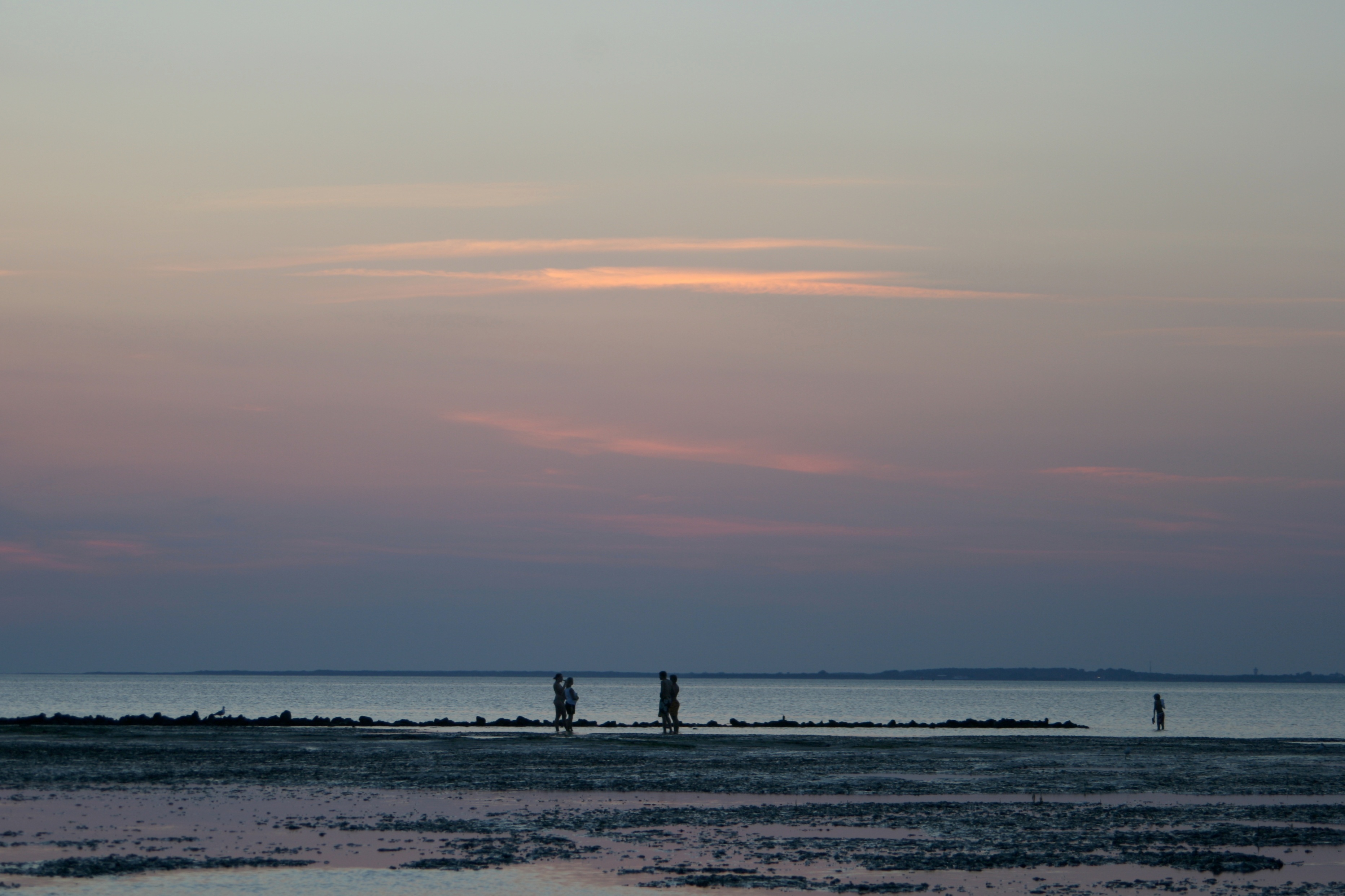 20080728214107.jpg