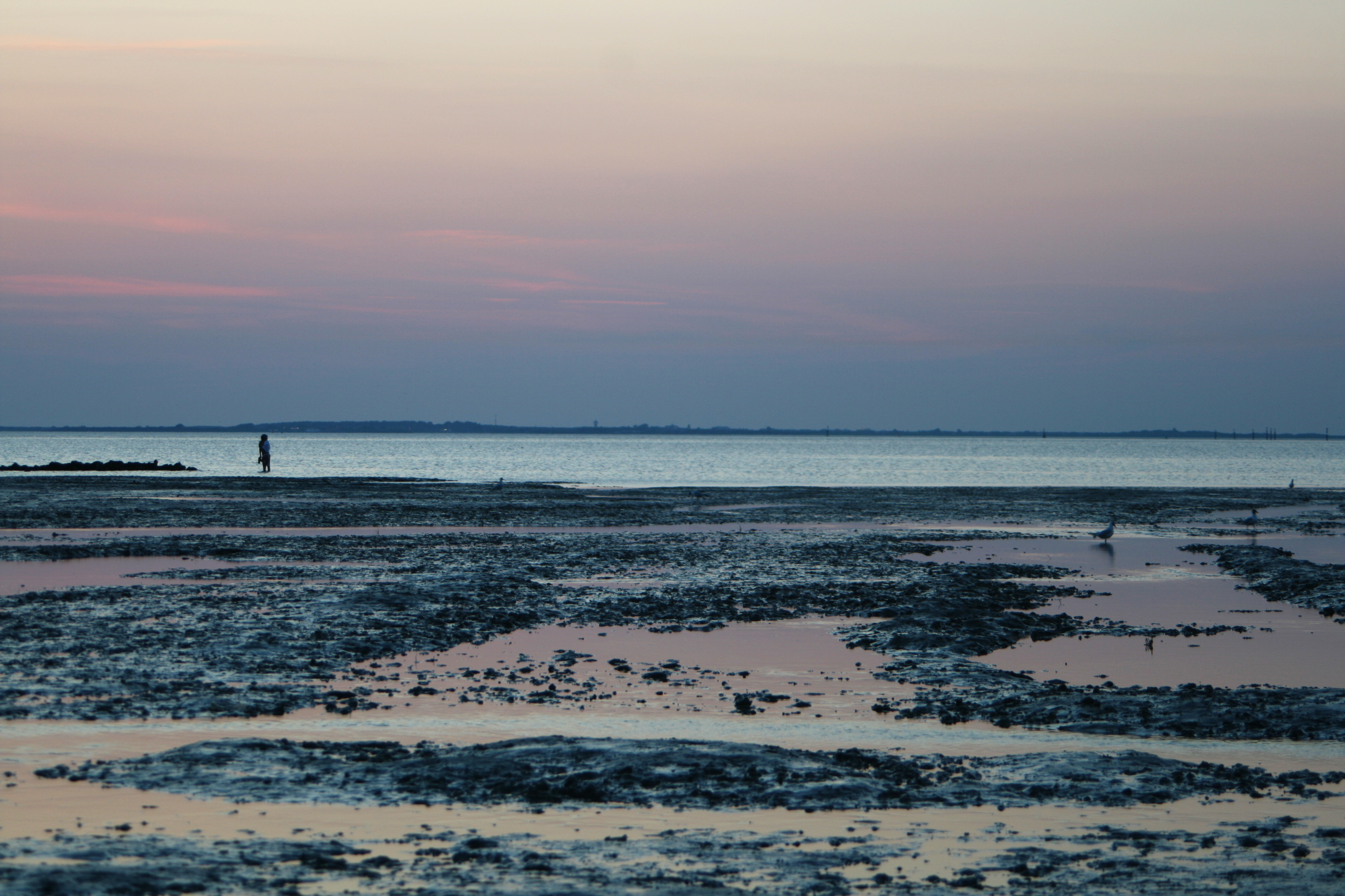 20080728214419.jpg