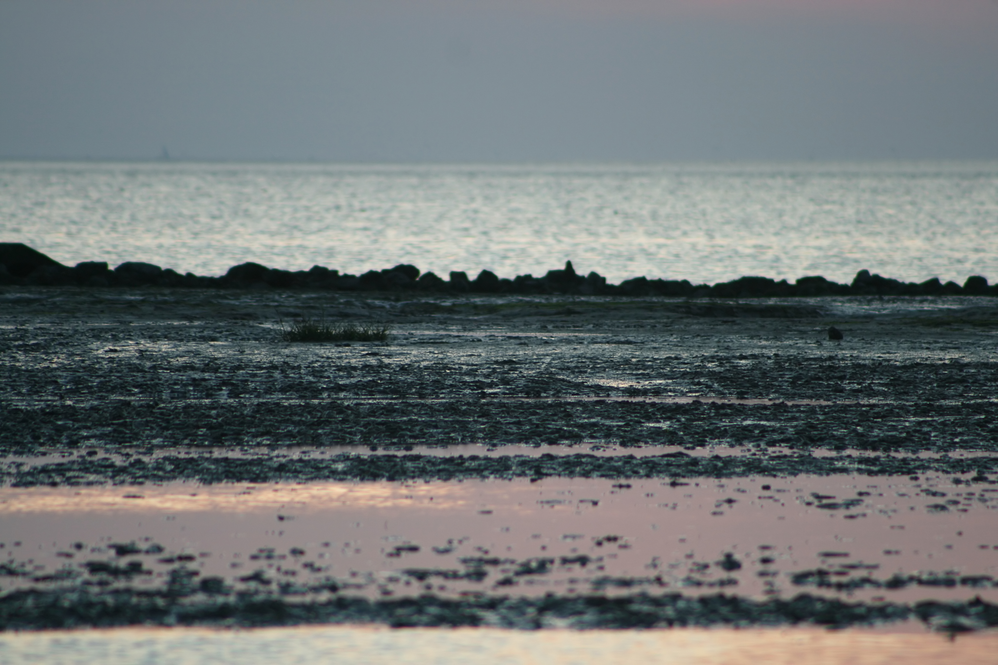 20080728214649.jpg