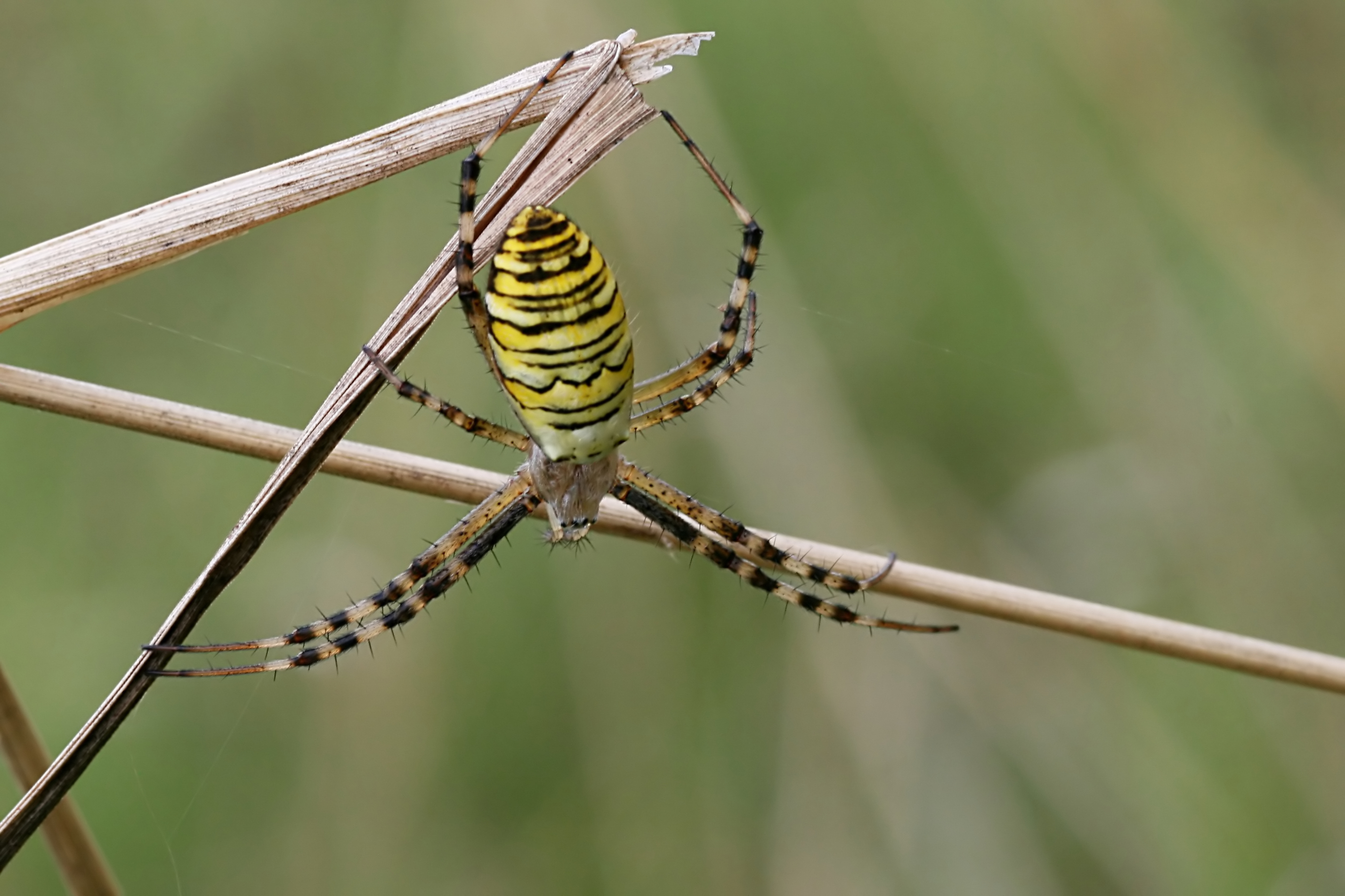 20080802170719.jpg