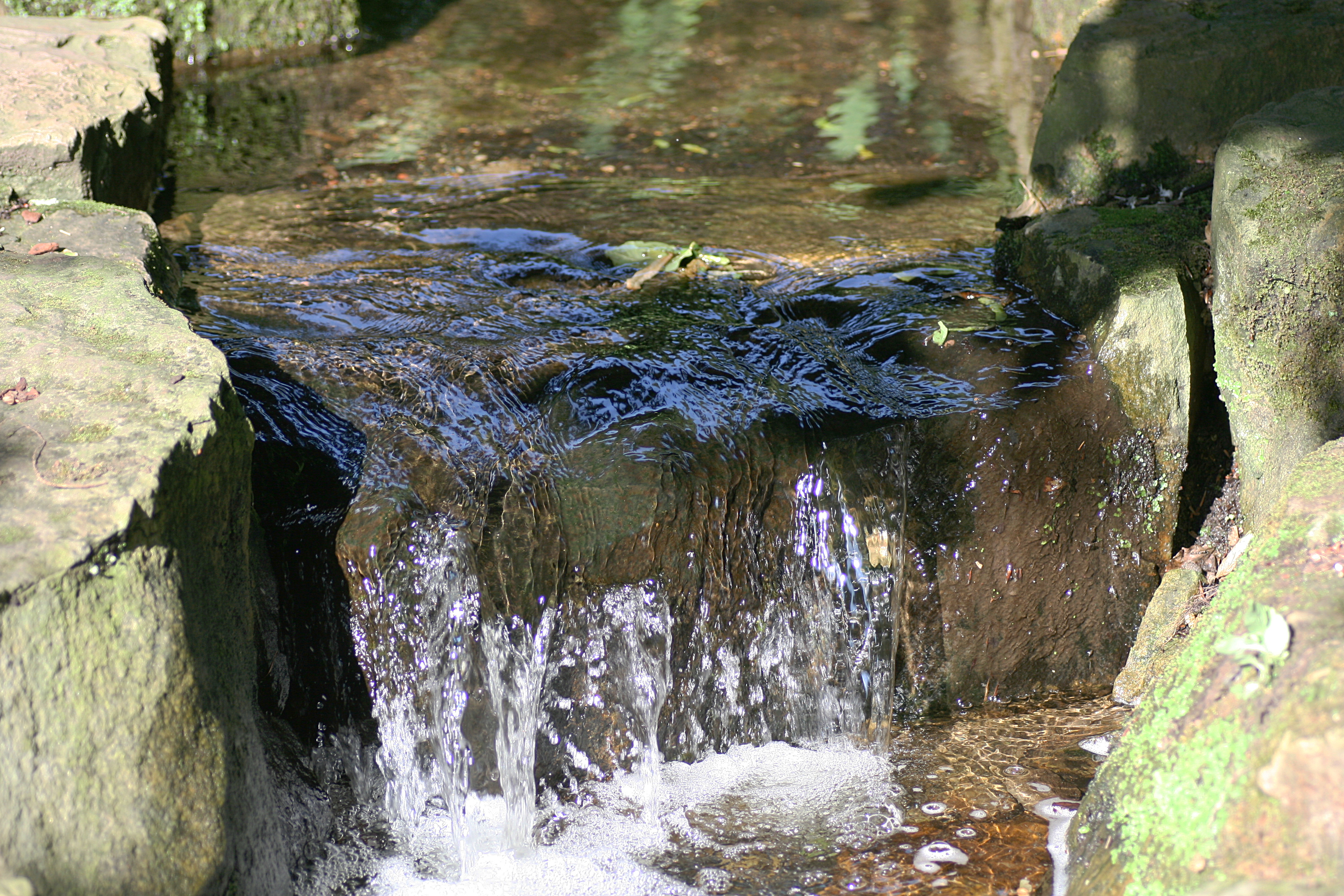 20080804172937.jpg