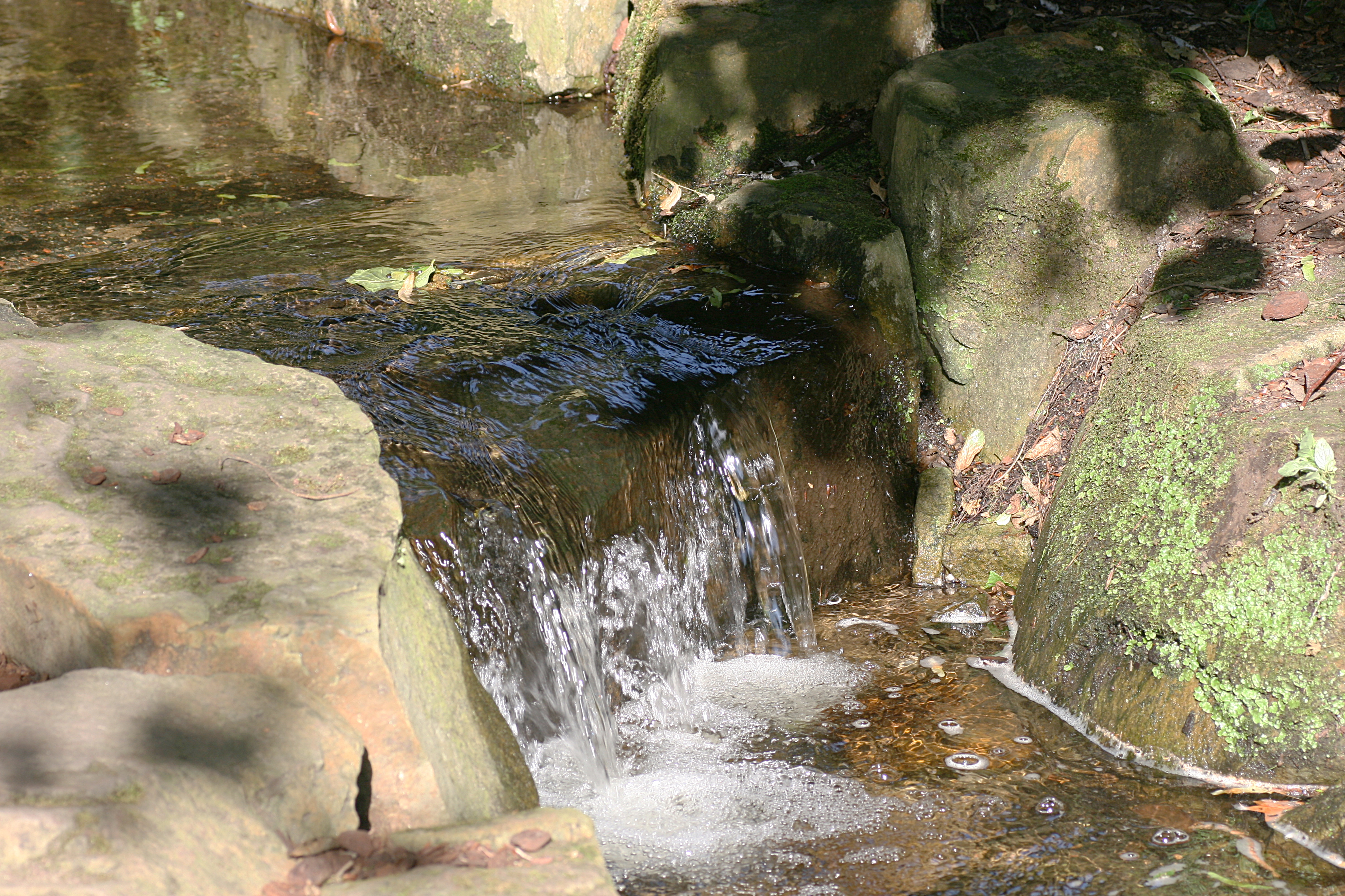 20080804173002.jpg