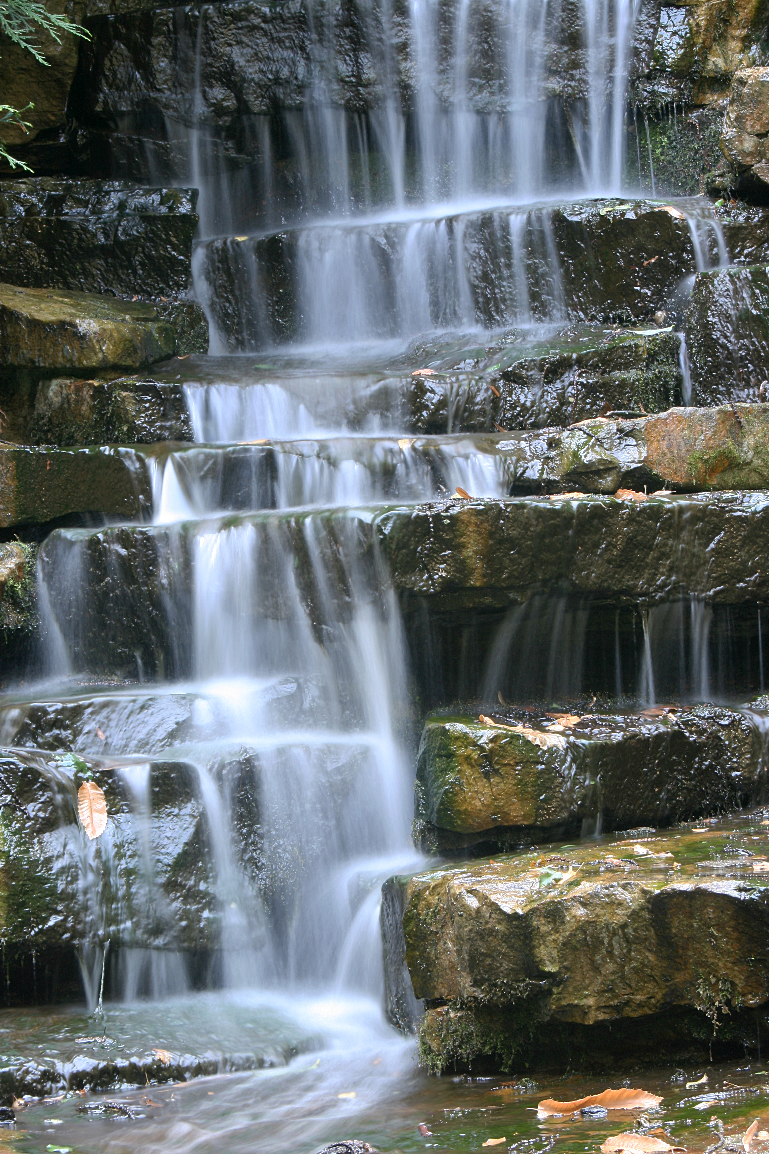 20080804173922.jpg