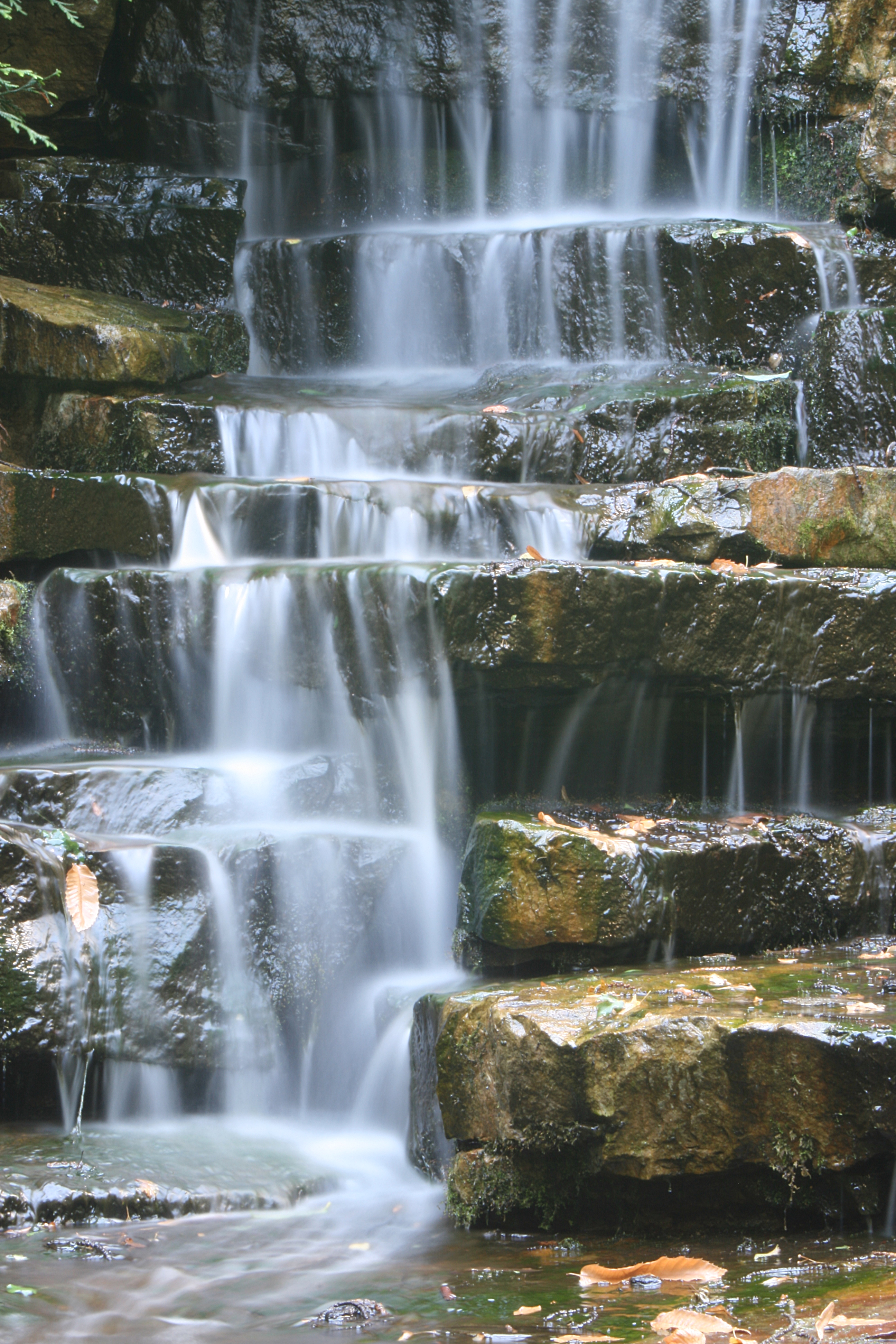 20080804173947.jpg